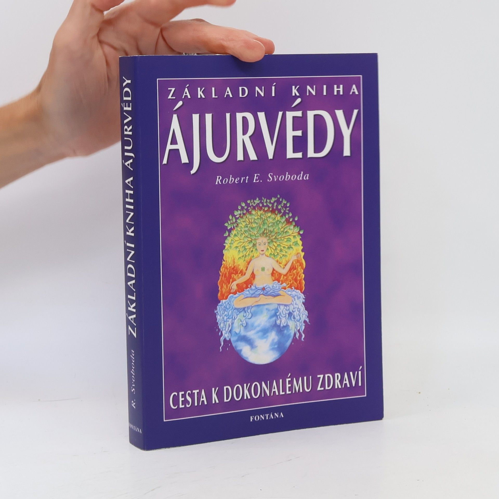 Základní kniha ájurvédy. Cesta k dokonalému zdraví