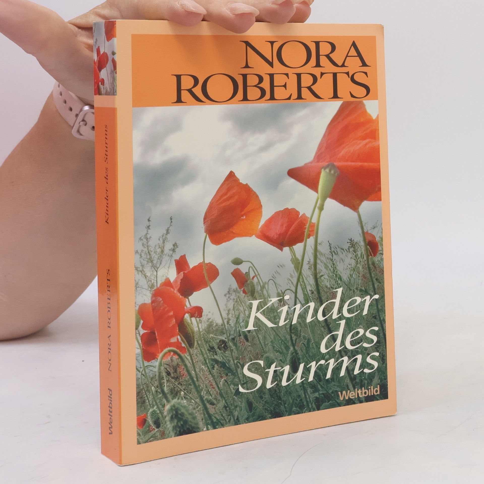 Nora Roberts Kinder des sturms