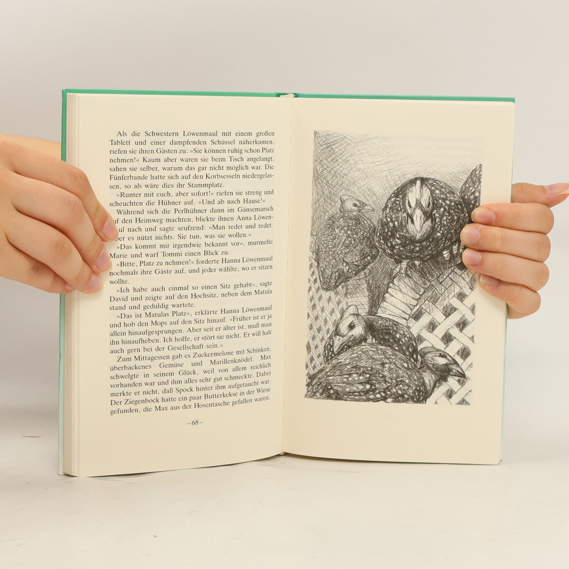 Gerda Anger-Schmidt Tommi und die Kichererbse