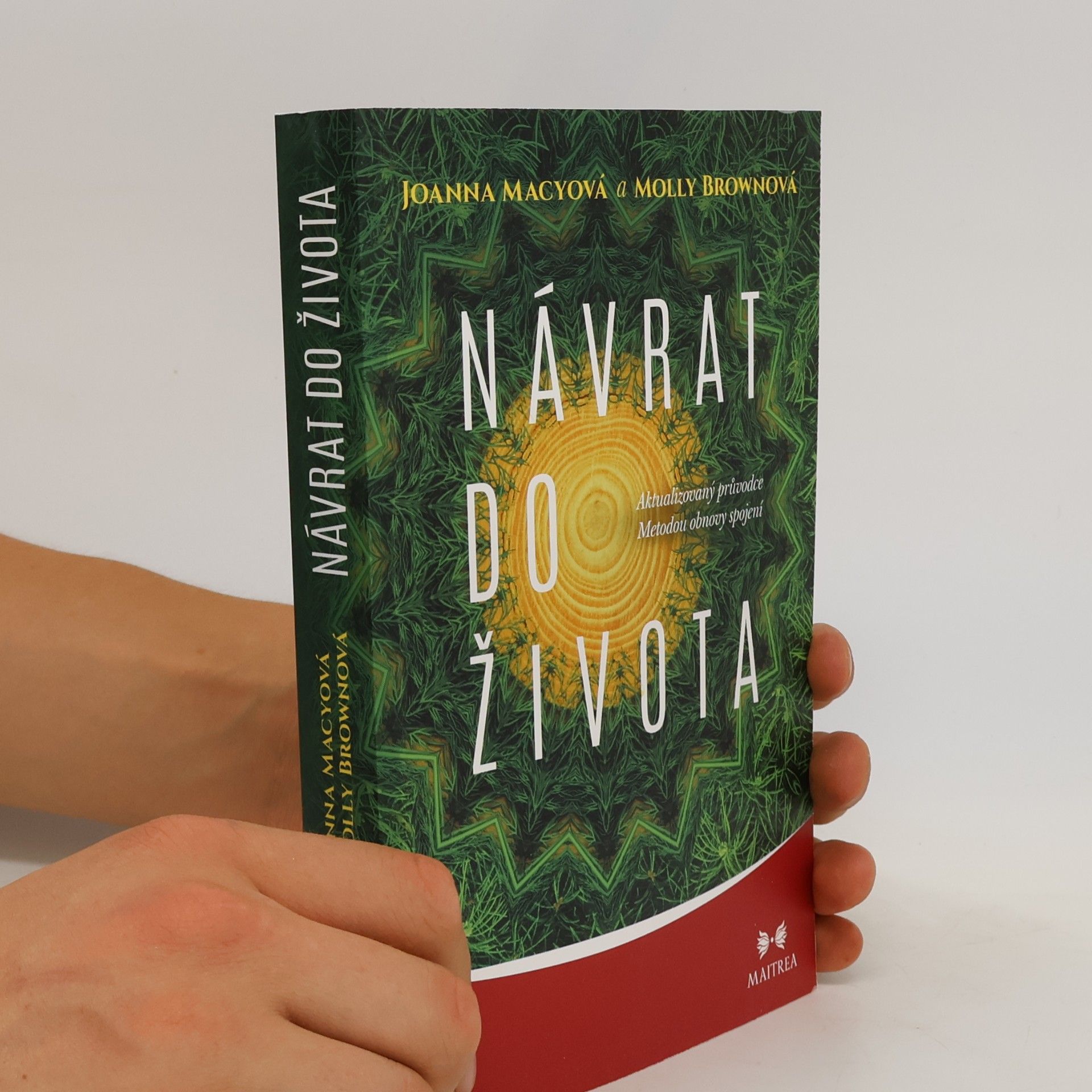 Molly Young Brown Návrat do života : aktualizovaný průvodce Metodou obnovy spojení