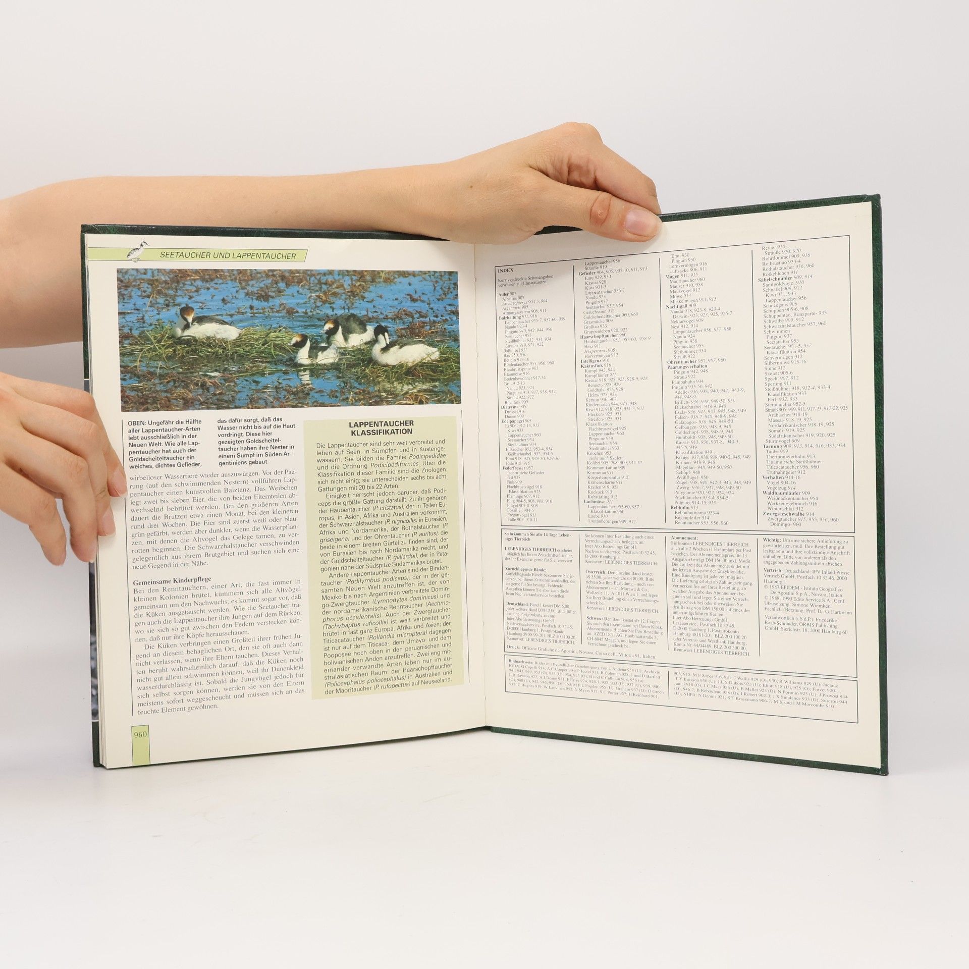 Autorenkollektiv Lebendiges Tierreich Band 16