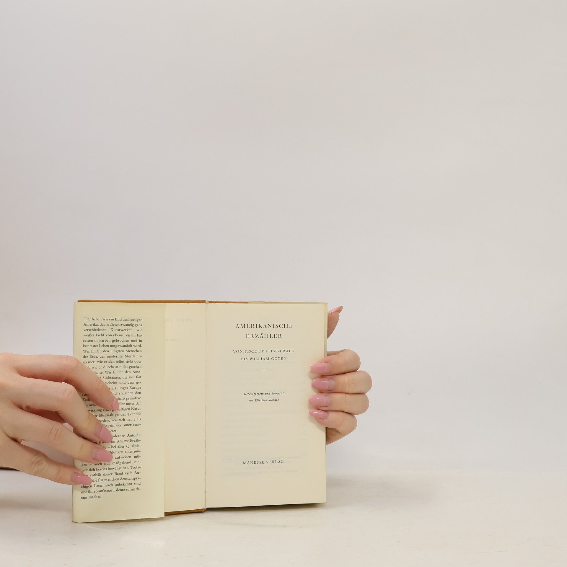 Elisabeth Schnack Amerikanische Erzähler. Von F. Scott Fitzgerald bis William Goyen