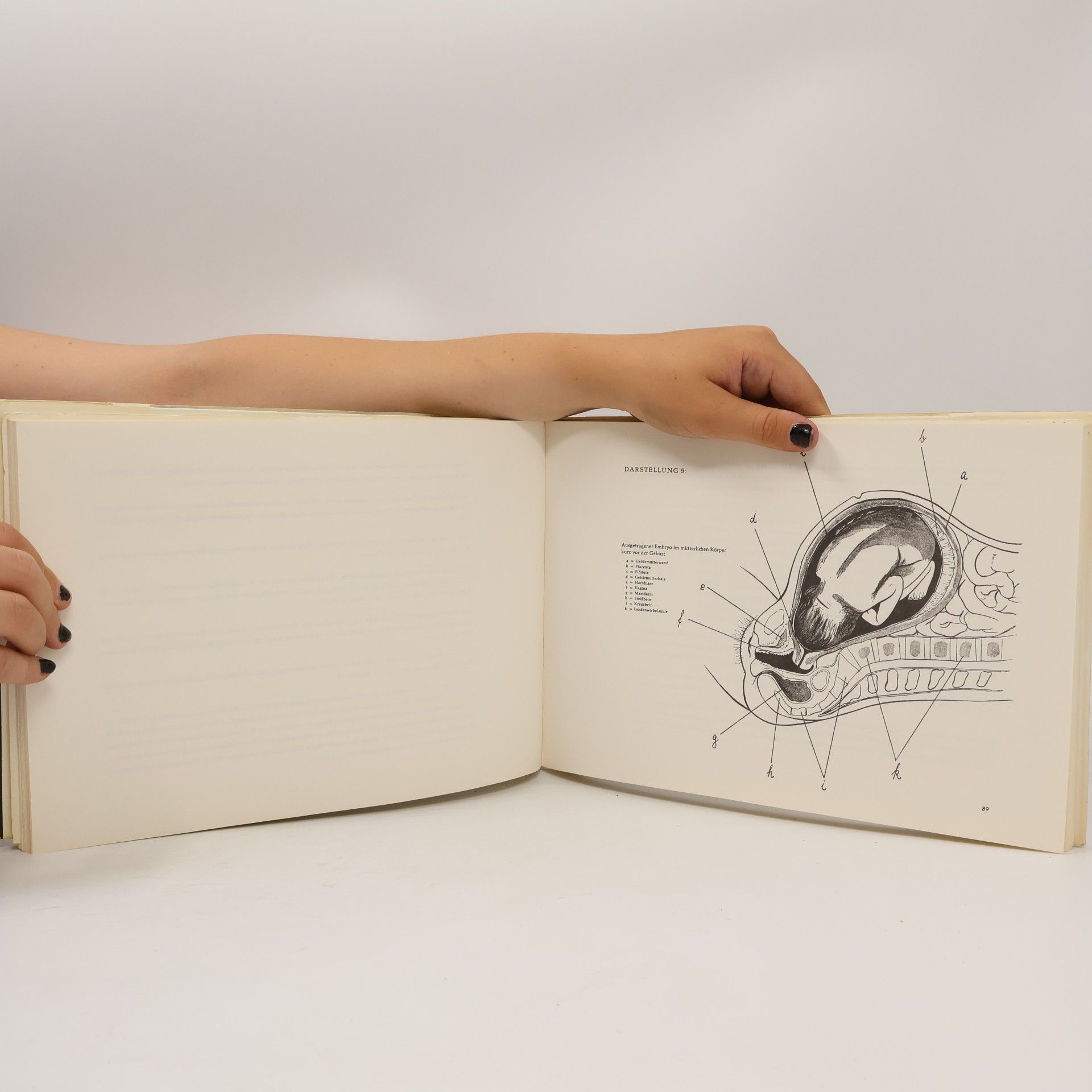 Various authors Das Geheimnis der Menschwerdung