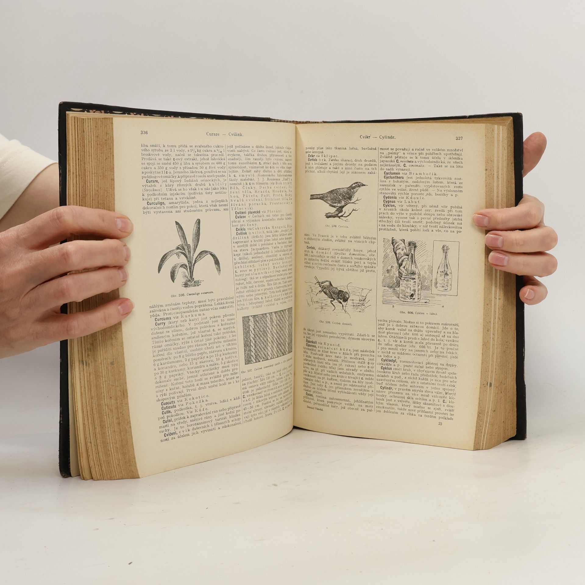 Kafka Josef Domácí Vševěd I. A-H