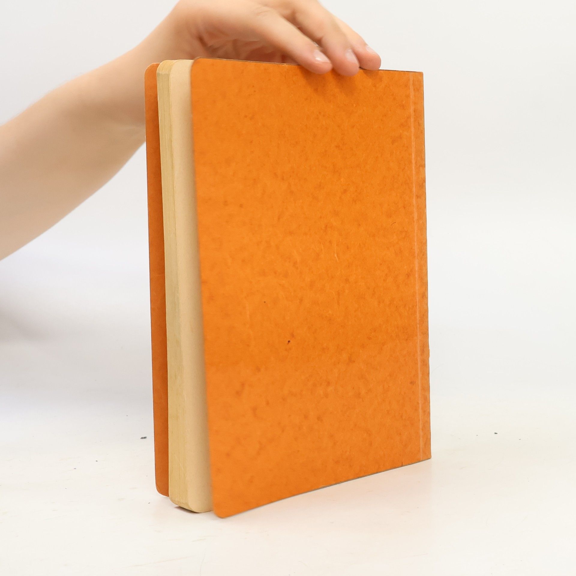 Various authors Normen für Stahlrohrleitungen