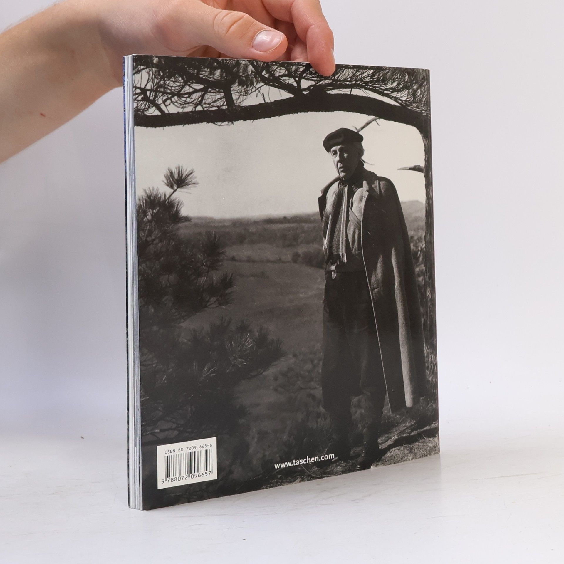 Bruce Brooks Pfeiffer Frank Lloyd Wright : 1867-1959 : stavby pro demokracii