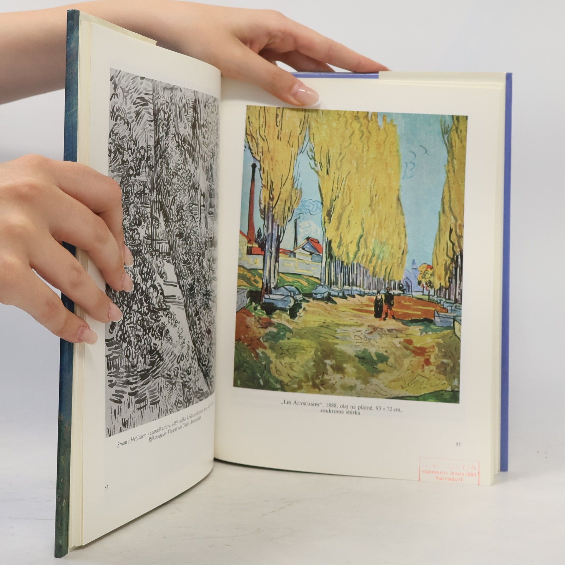 René Huyghe Van Gogh