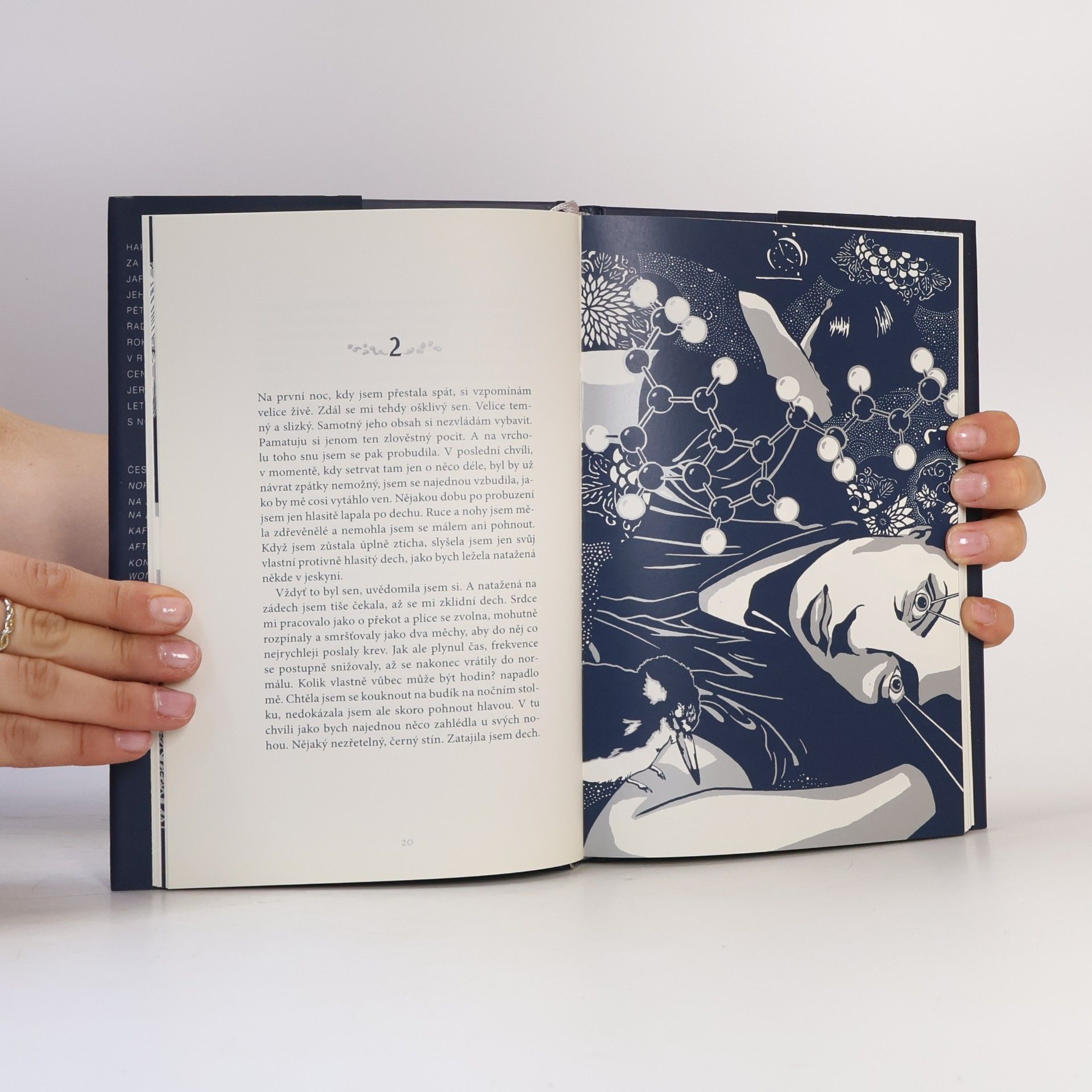 Haruki Murakami Spánek
