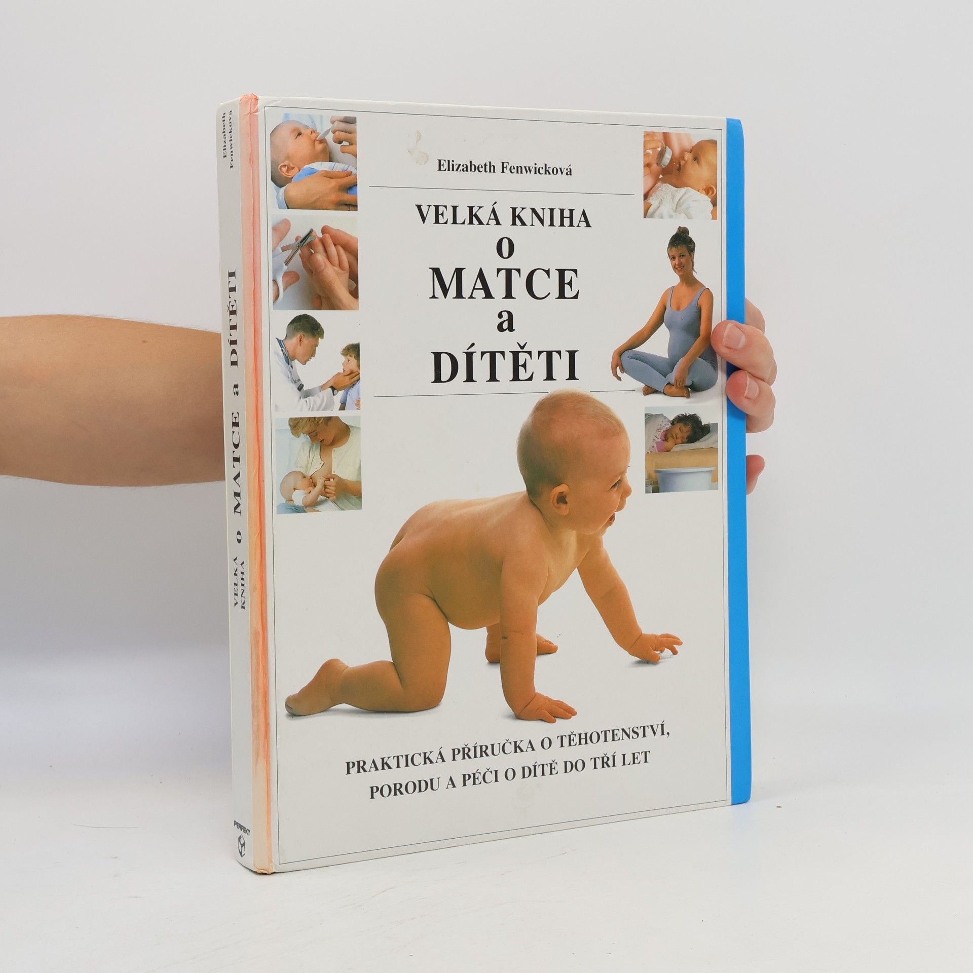 Elizabeth Fenwick Velká kniha o matce a dítěti