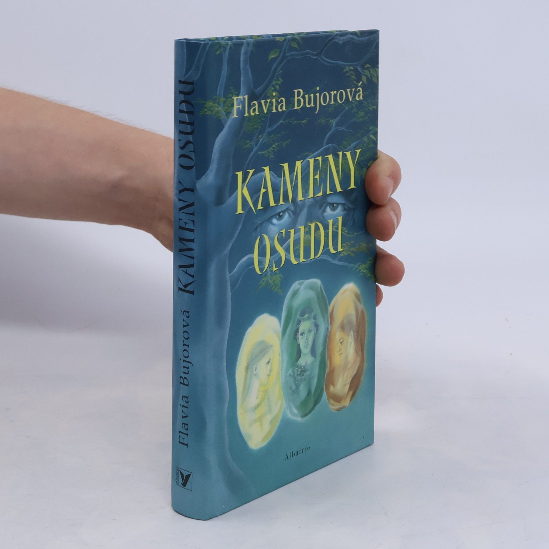 Flavia Bujor Kameny osudu
