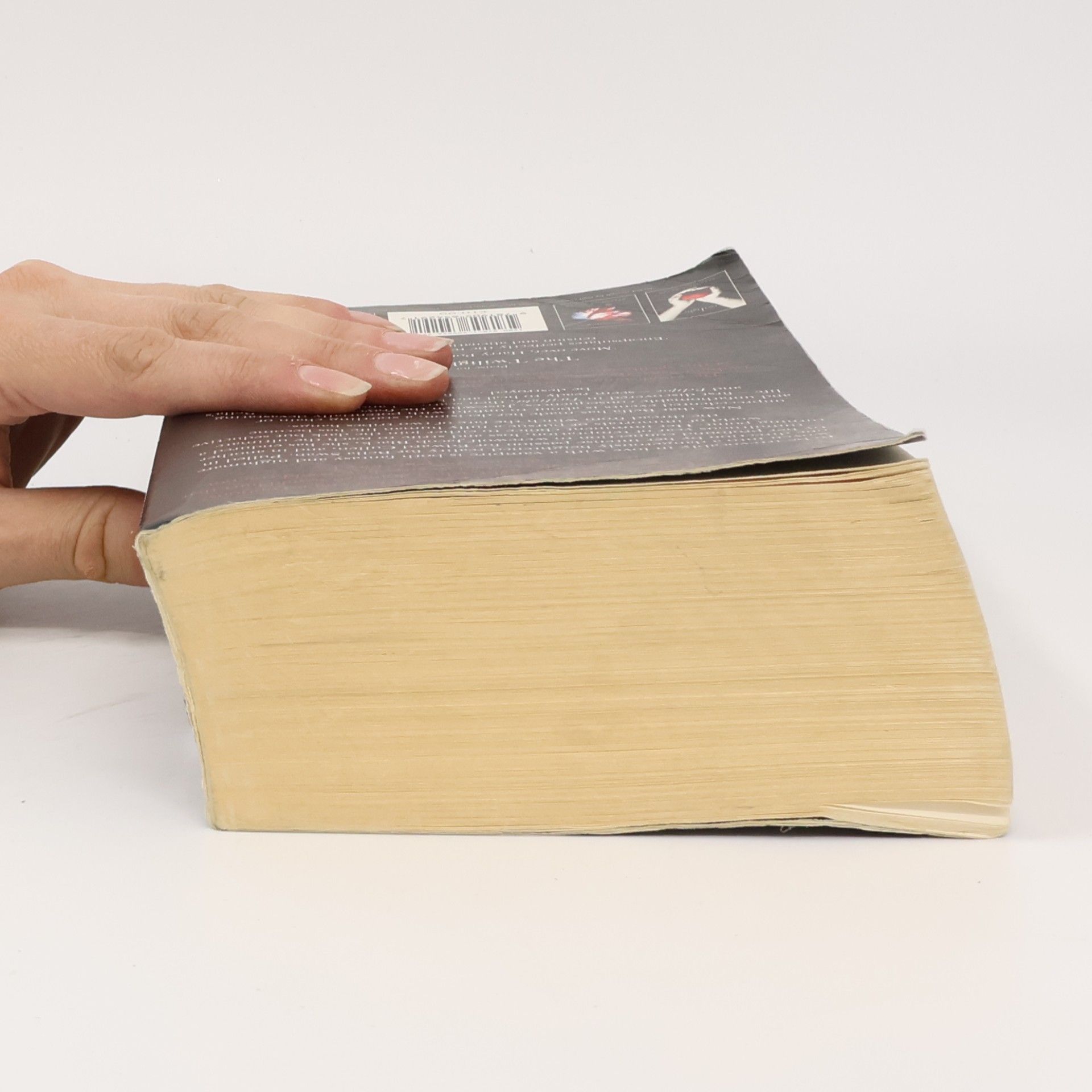 Stephenie Meyer Breaking Dawn