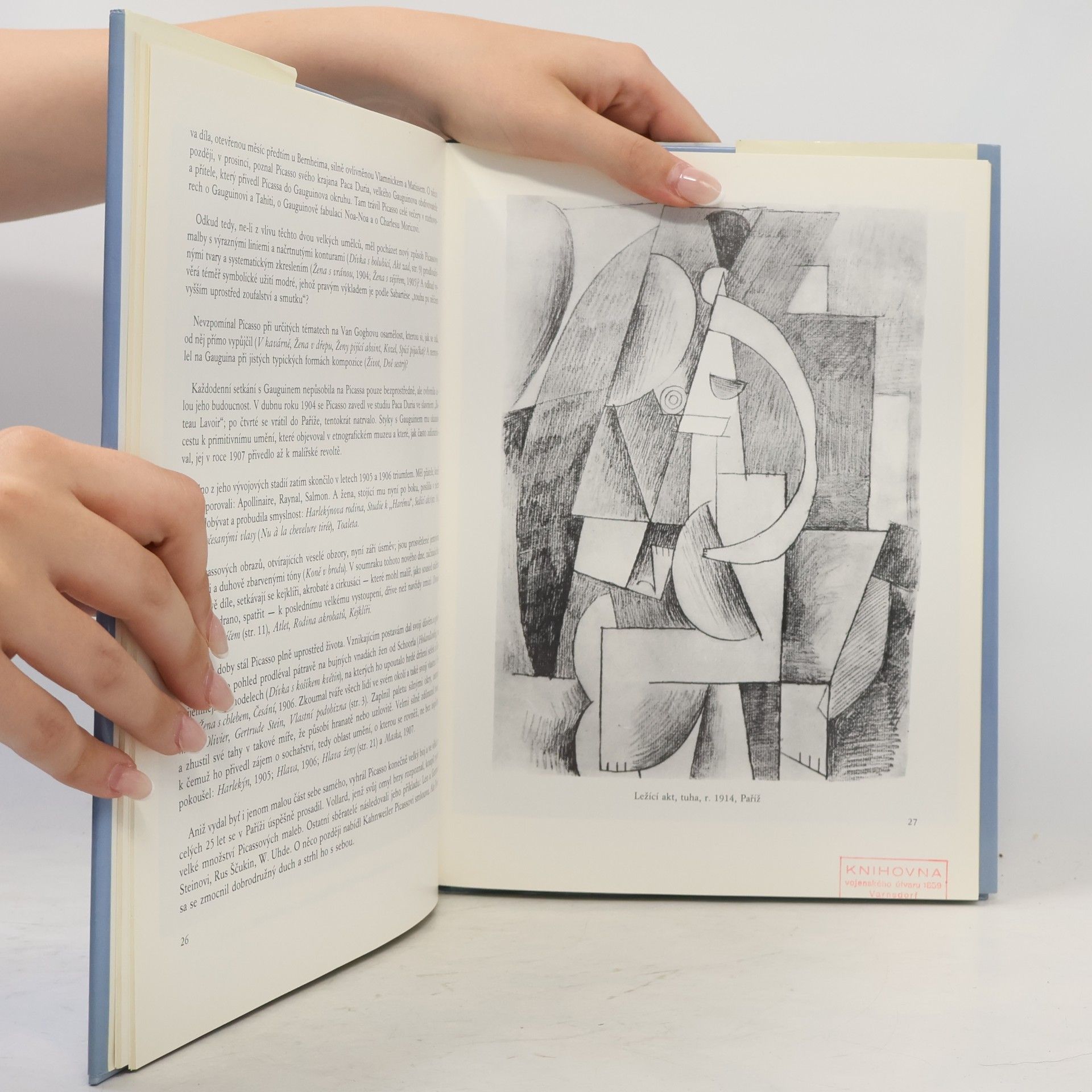 Gaston Diehl Picasso