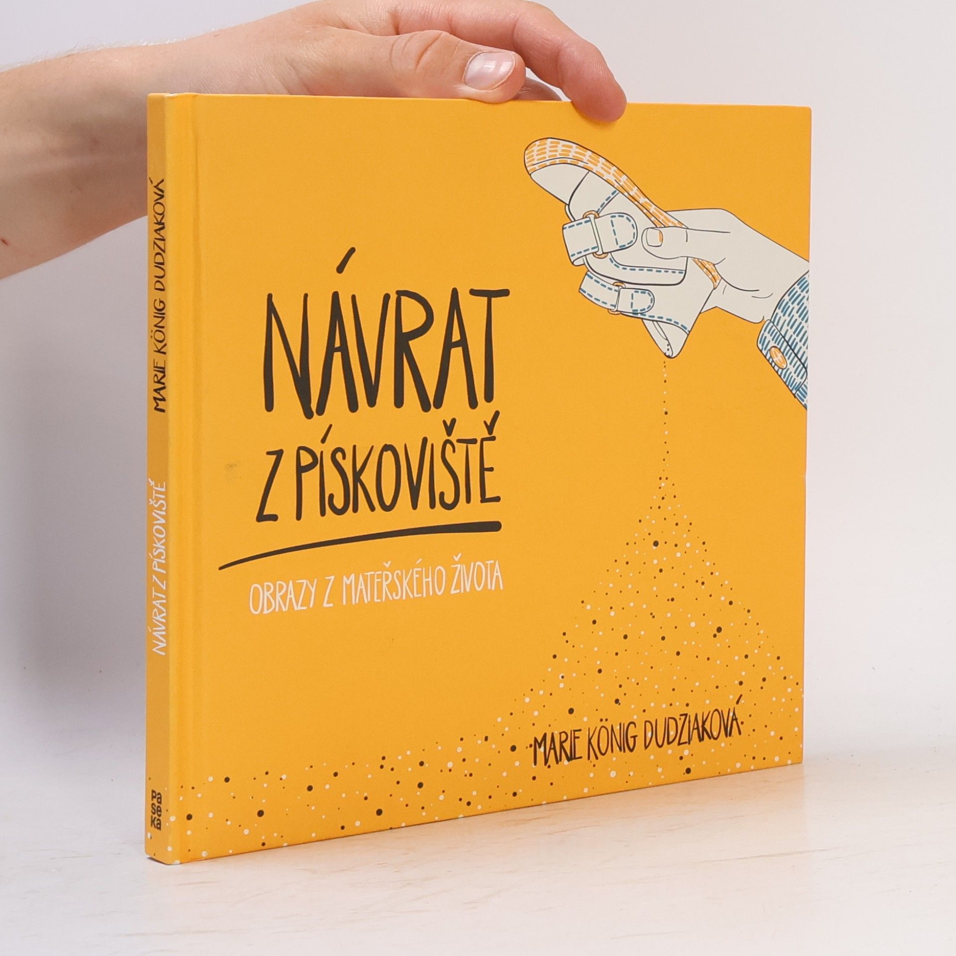 Marie König Dudziaková Návrat z pískoviště : obrazy z mateřského života