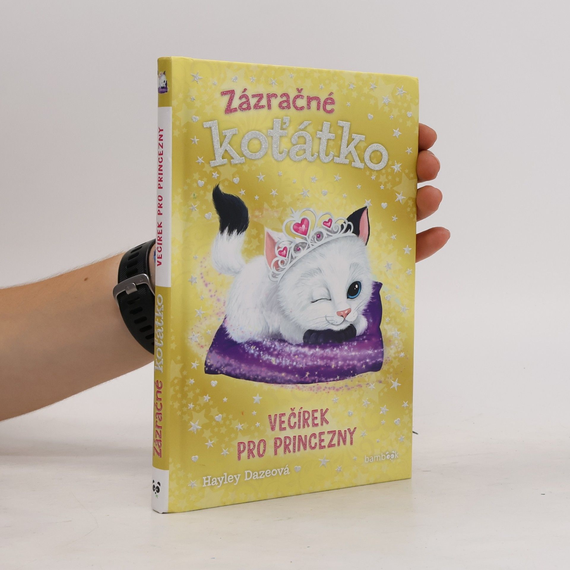 Hayley Daze Zázračné koťátko. Večírek pro princezny