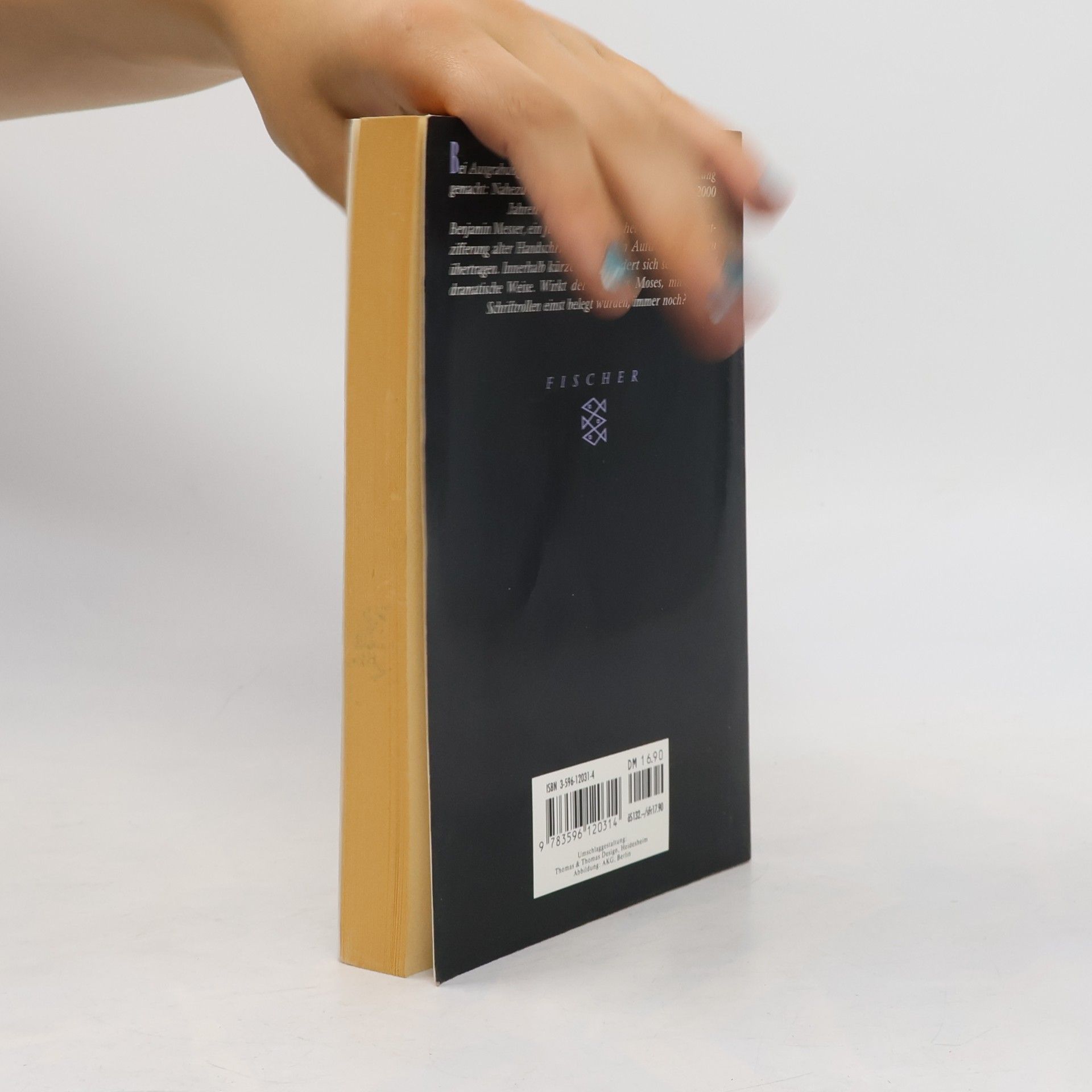 Barbara Wood Der Fluch der Schriftrollen