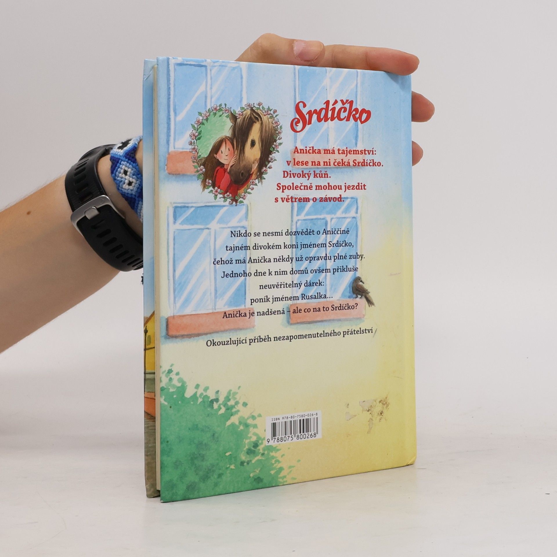 Usch Luhn Srdíčko. Divoký kůň na školním dvoře