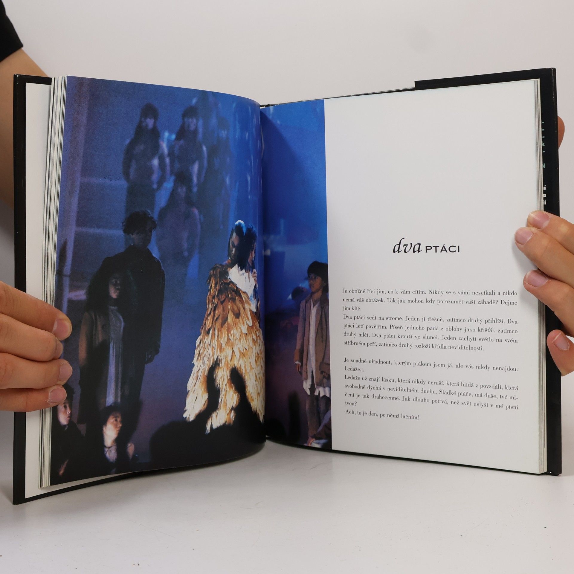 Michael Jackson Tanec jako sen : Básně a úvahy