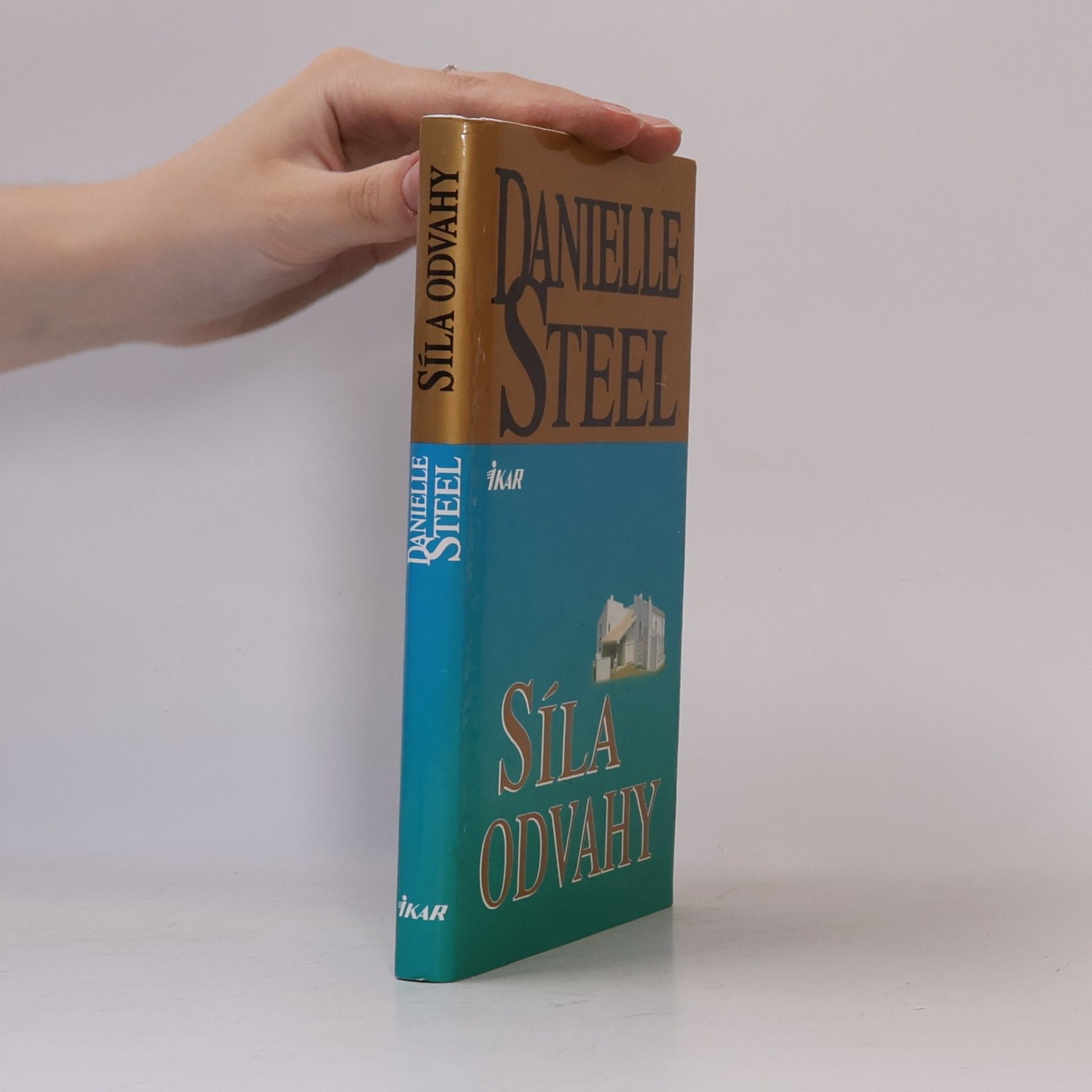 Danielle Steel Síla odvahy