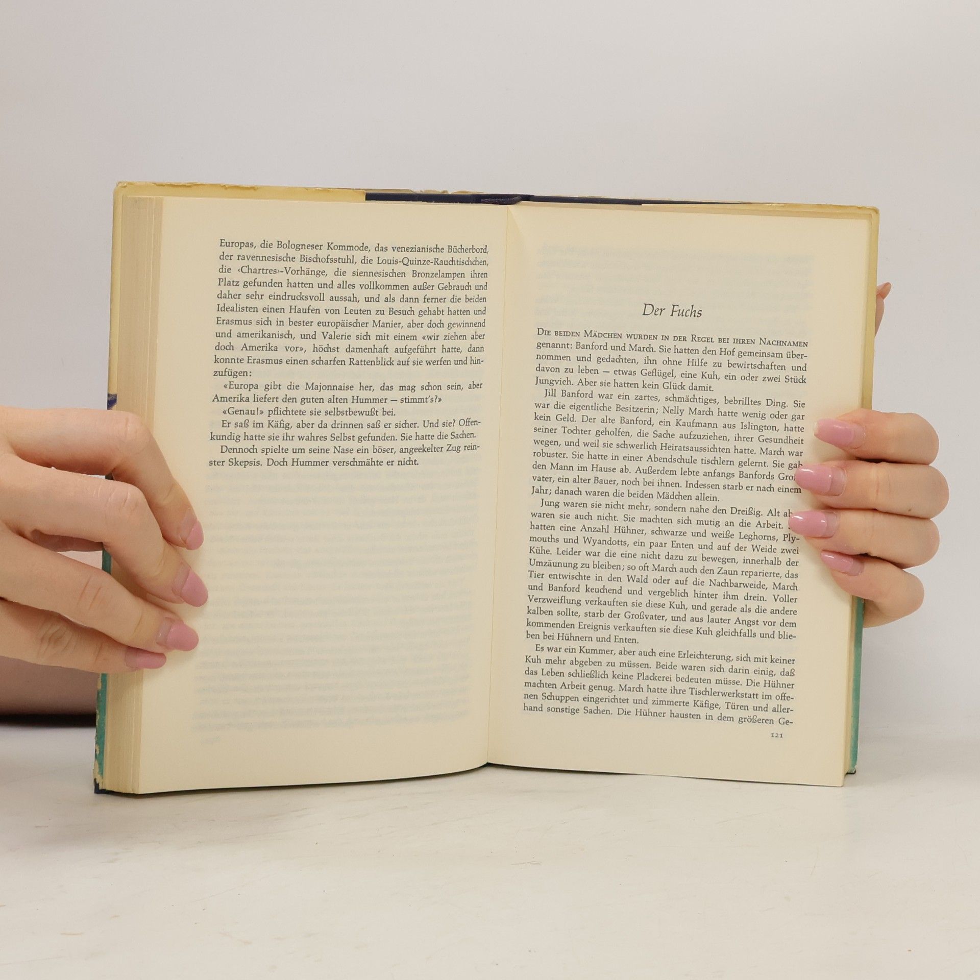 D. H. Lawrence Die blauen Mokassins
