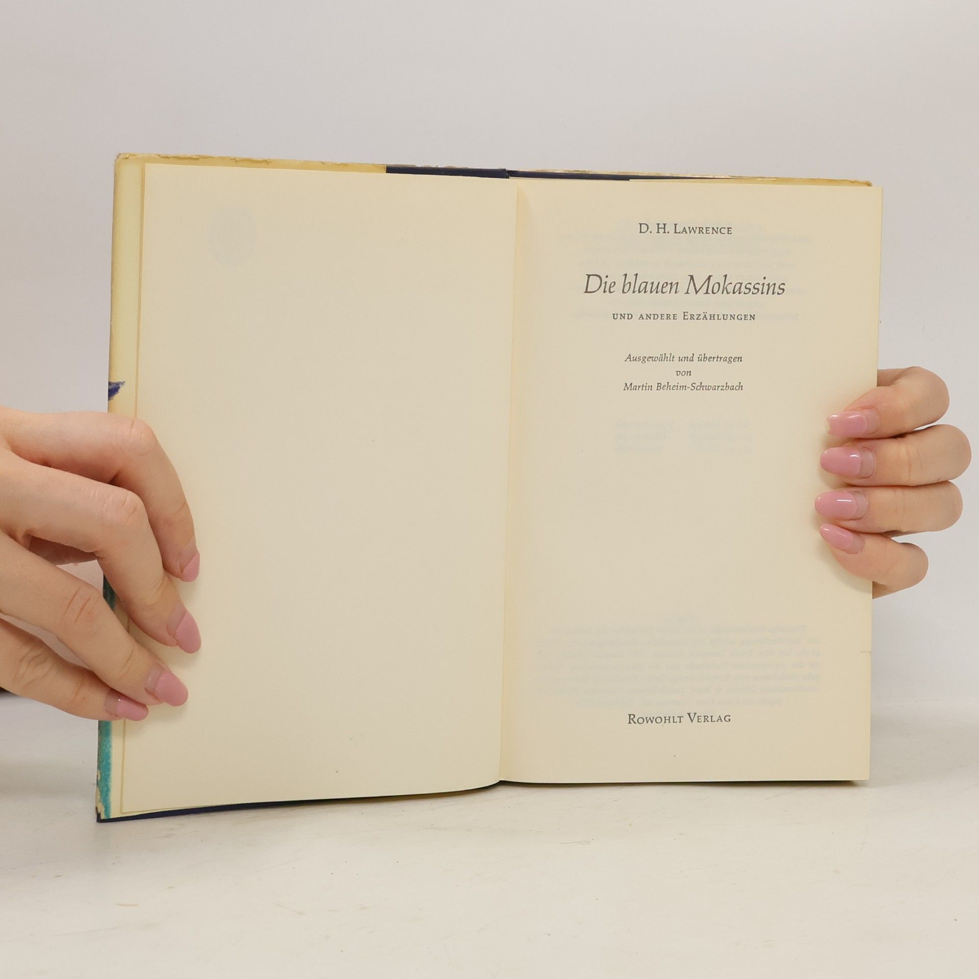 D. H. Lawrence Die blauen Mokassins