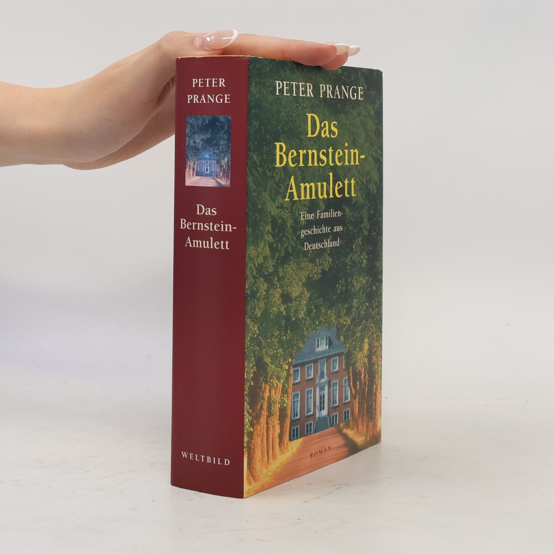 Peter Prange Das Bernstein-Amulett