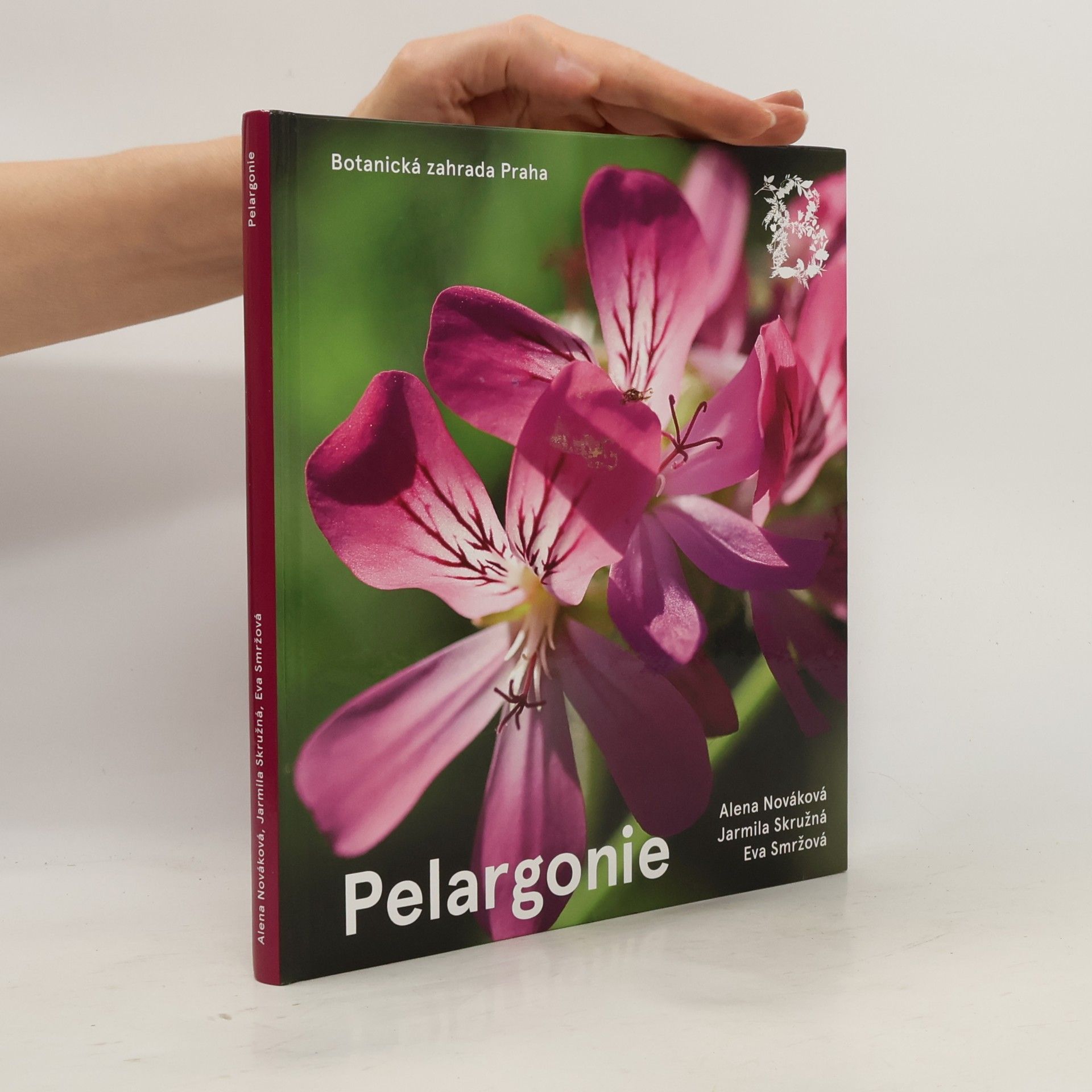 Jarmila Skružná Pelargonie
