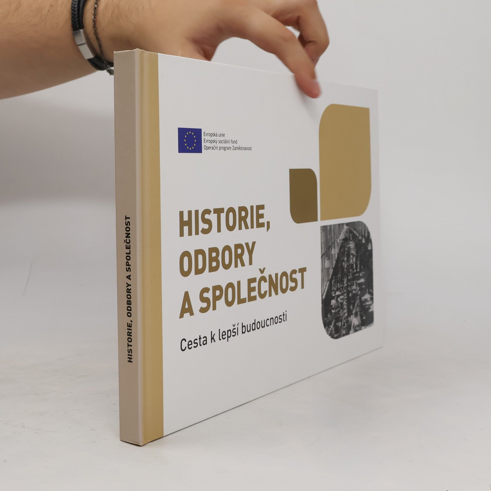 Various authors Historie, odbory a společnost : cesta k lepší budoucnosti