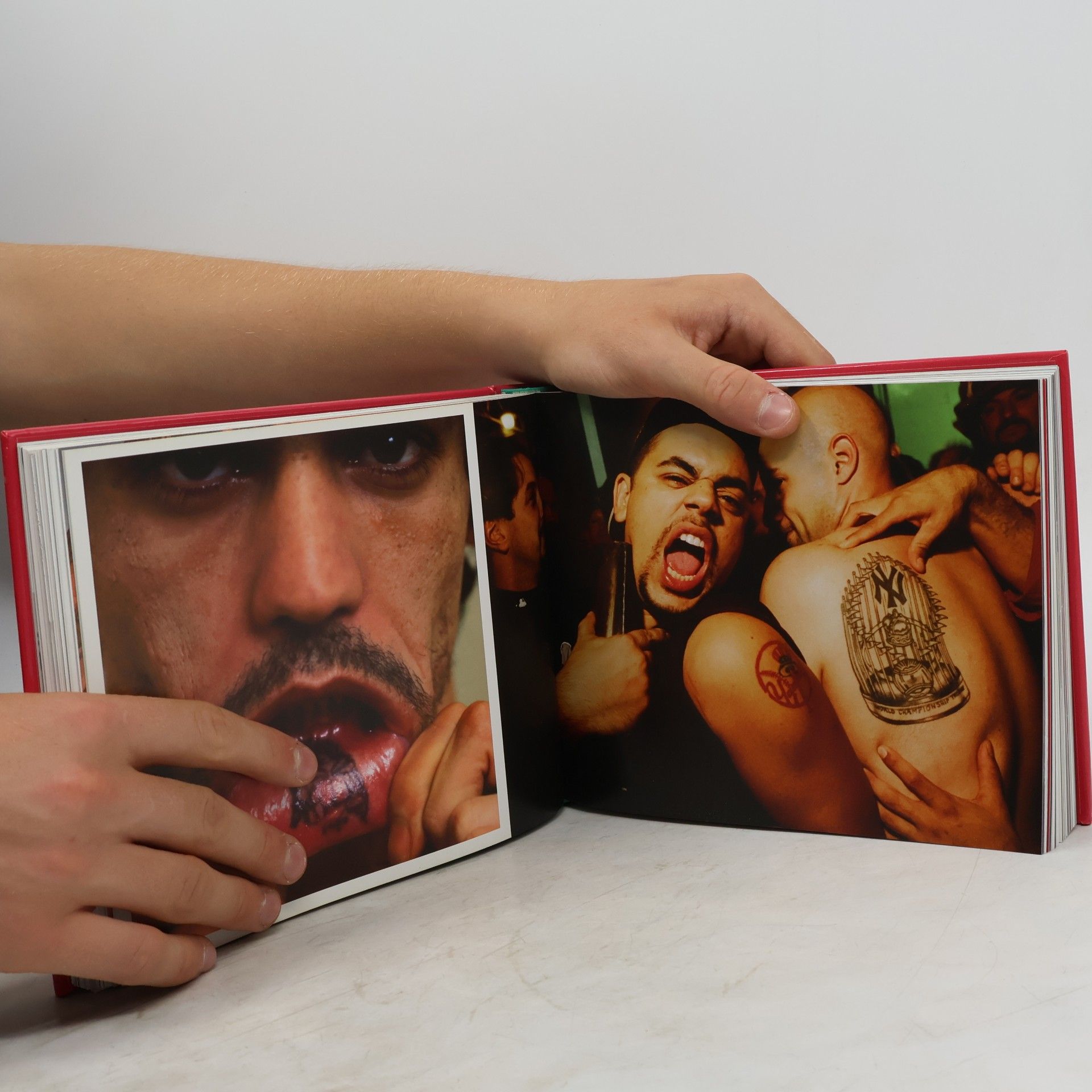 Birgit Krols Tattoo Bible