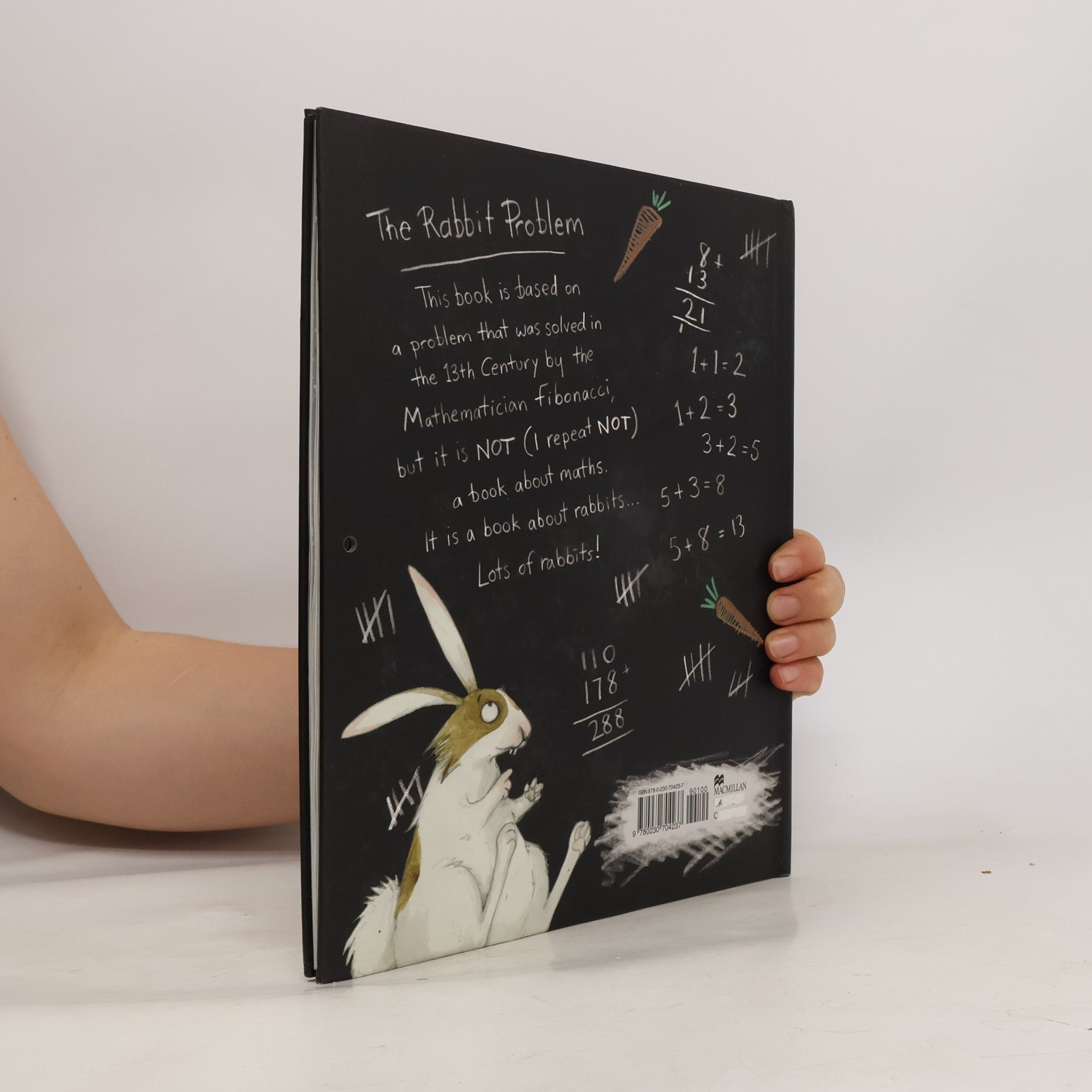Emily Gravett The Rabbit Problem
