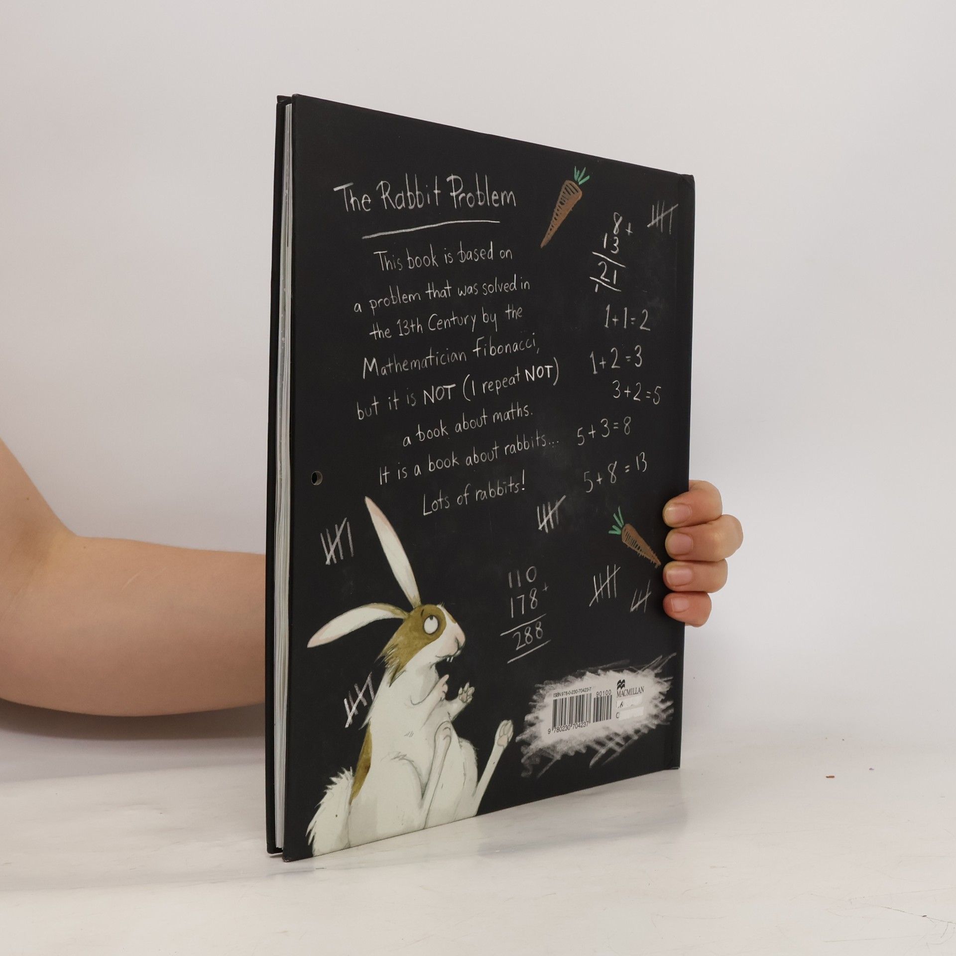 Emily Gravett The Rabbit Problem