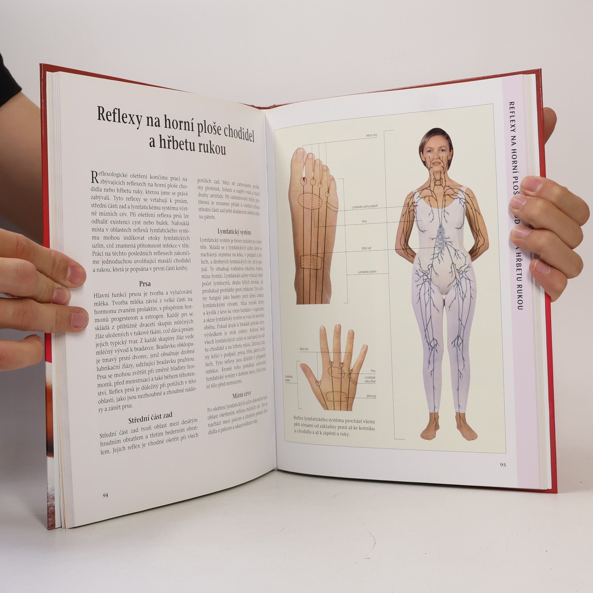 Pauline Wills Reflexologie