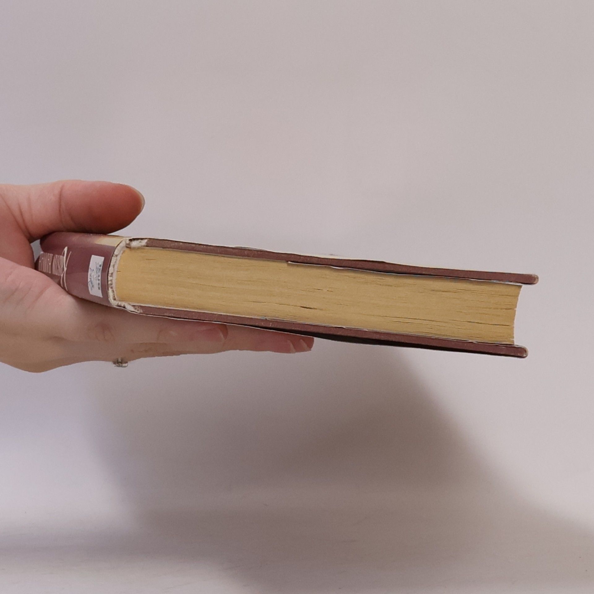 Kristin Hannah Na mystickém jezeře
