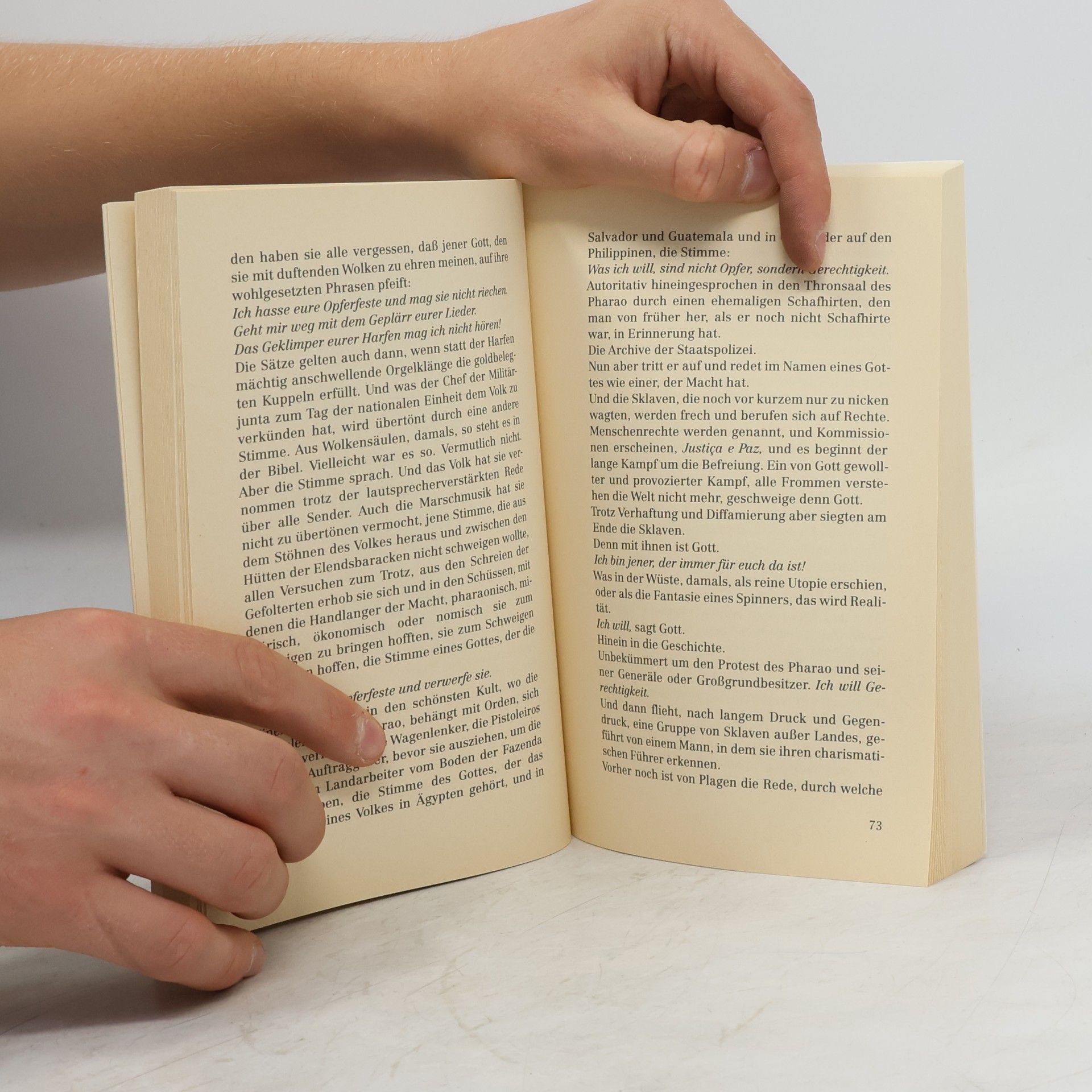 Renold Blank Der Aufstand des domestizierten Gottes