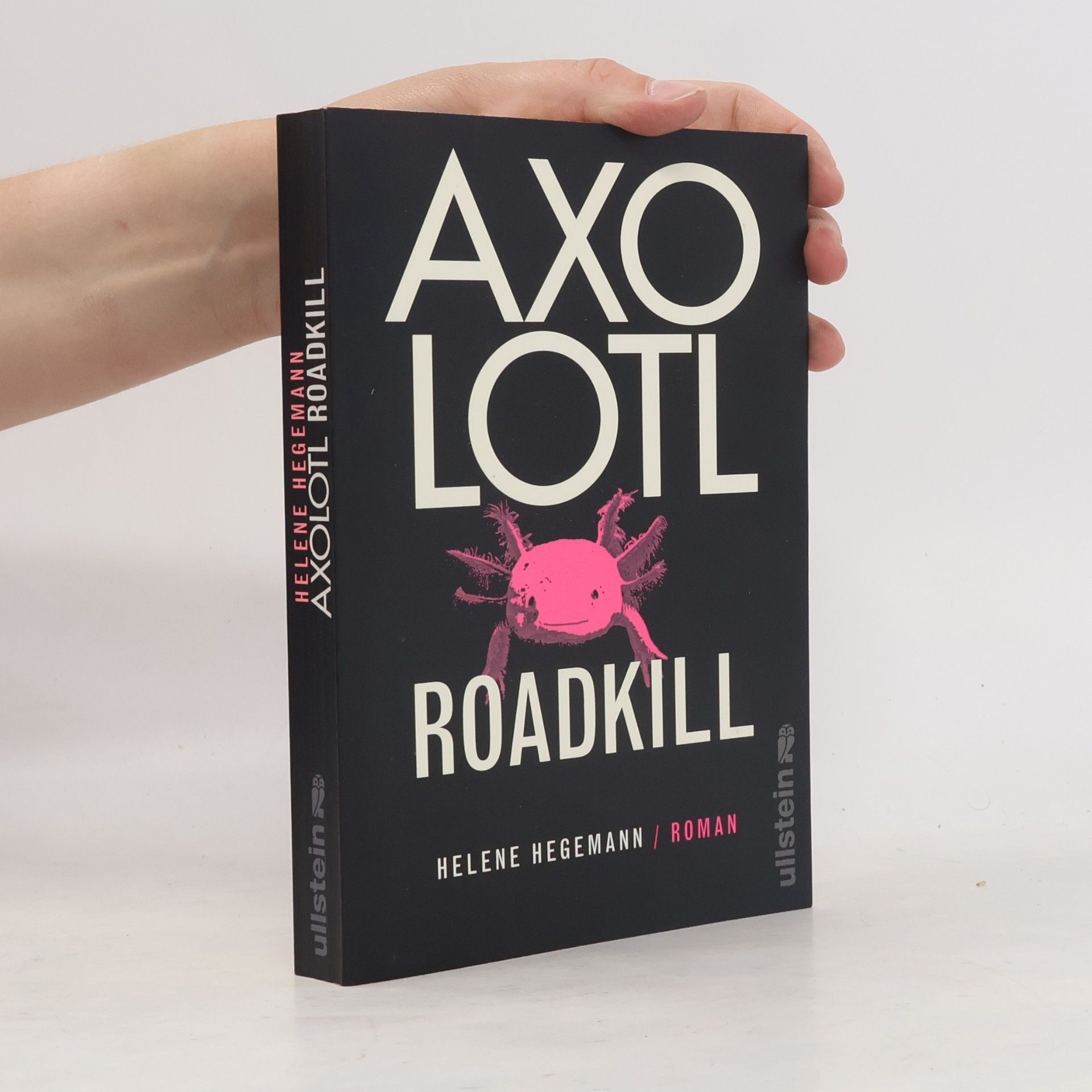 Helene Hegemann Axolotl Roadkill : Roman