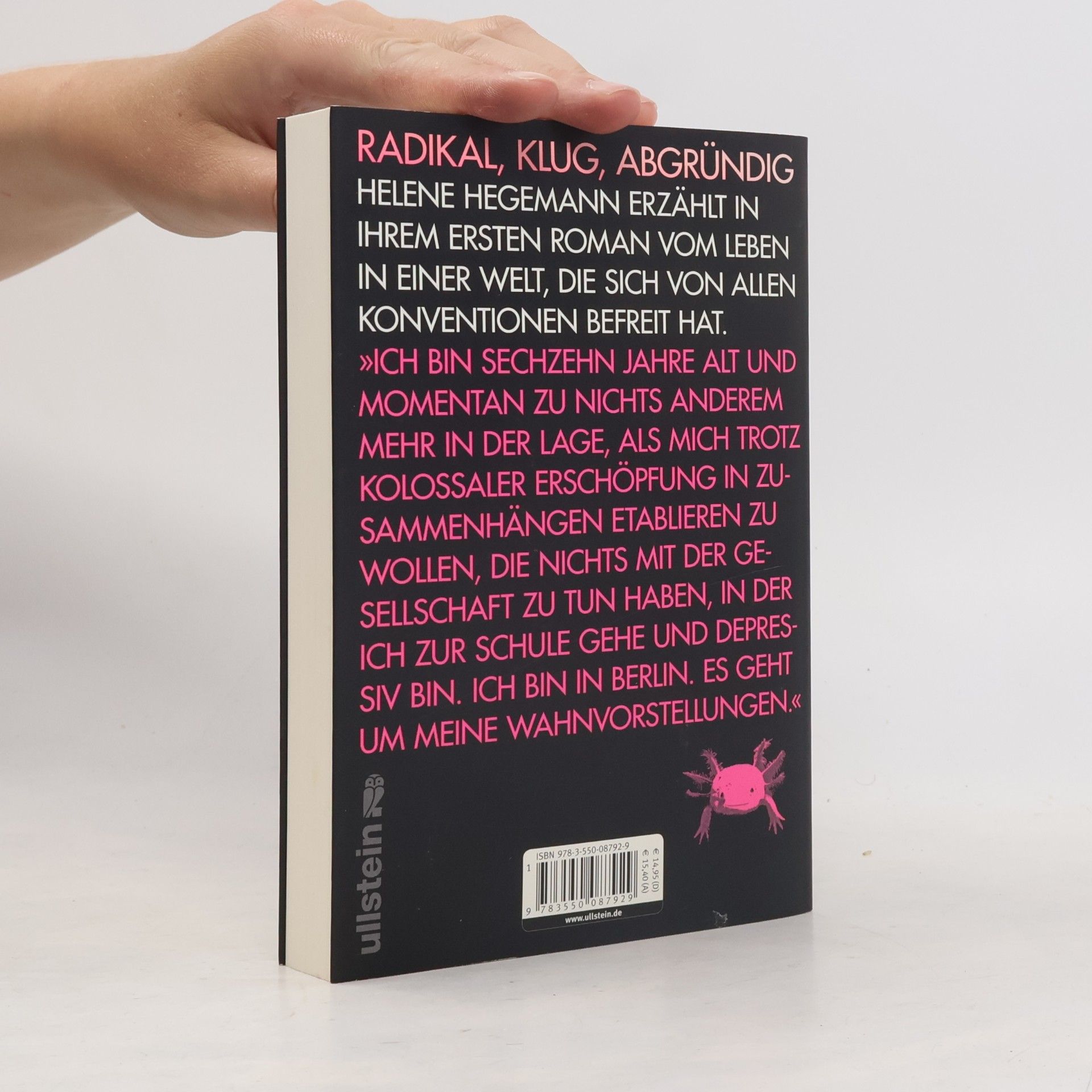 Helene Hegemann Axolotl Roadkill : Roman