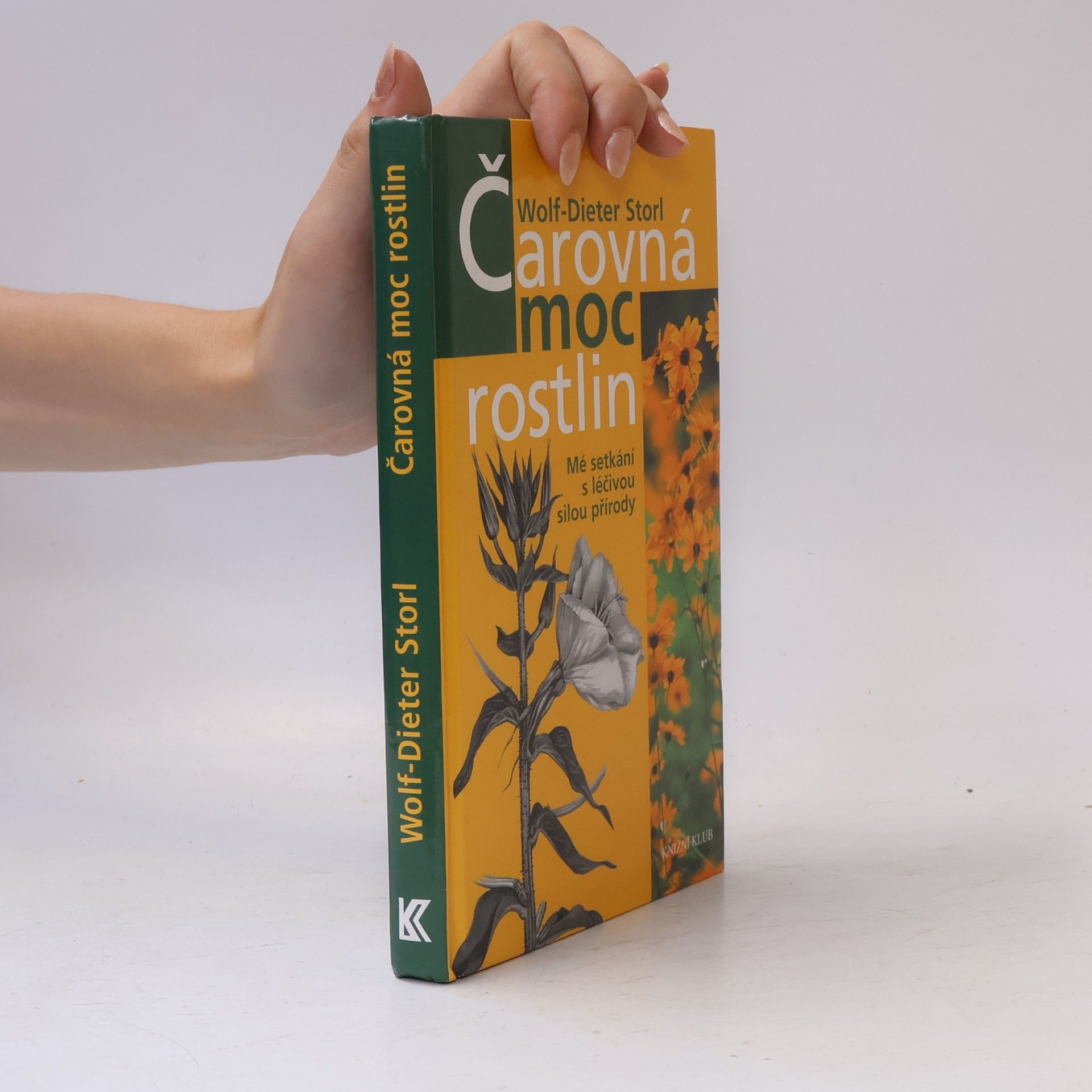 Čarovná moc rostlin - Mé setkání s léčivou silou přírody