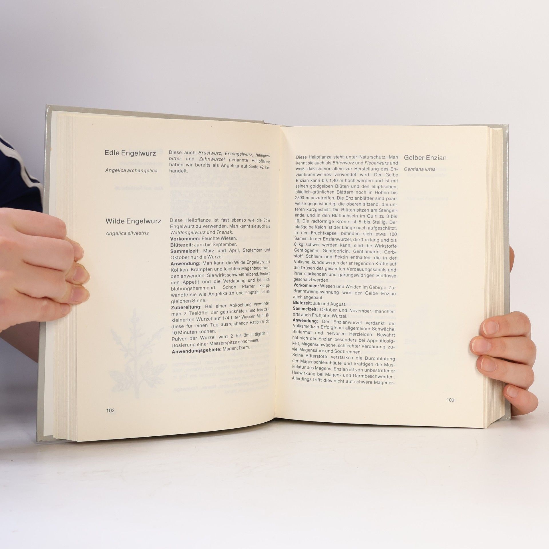 Heinz Görz Grosses Kräuter- und Gewürzbuch