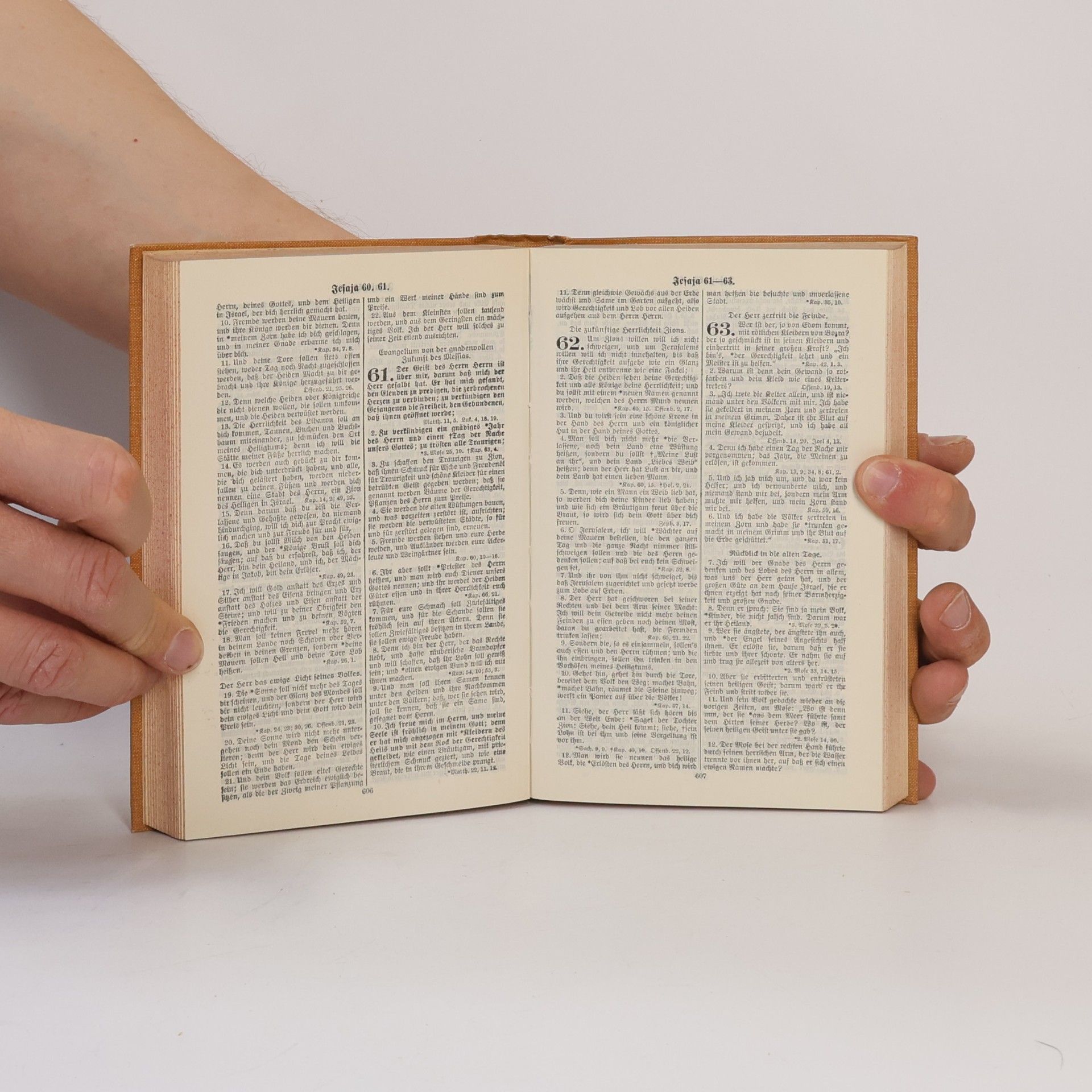 Martin Luther Die Heilige Schrift
