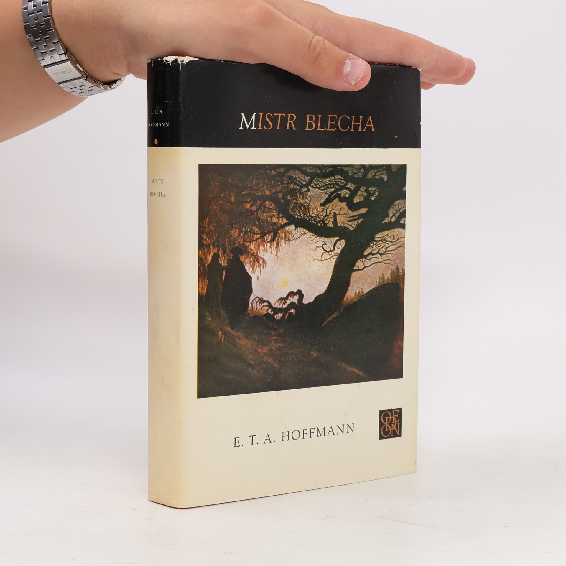Ernst T. A. Hoffmann Mistr Blecha