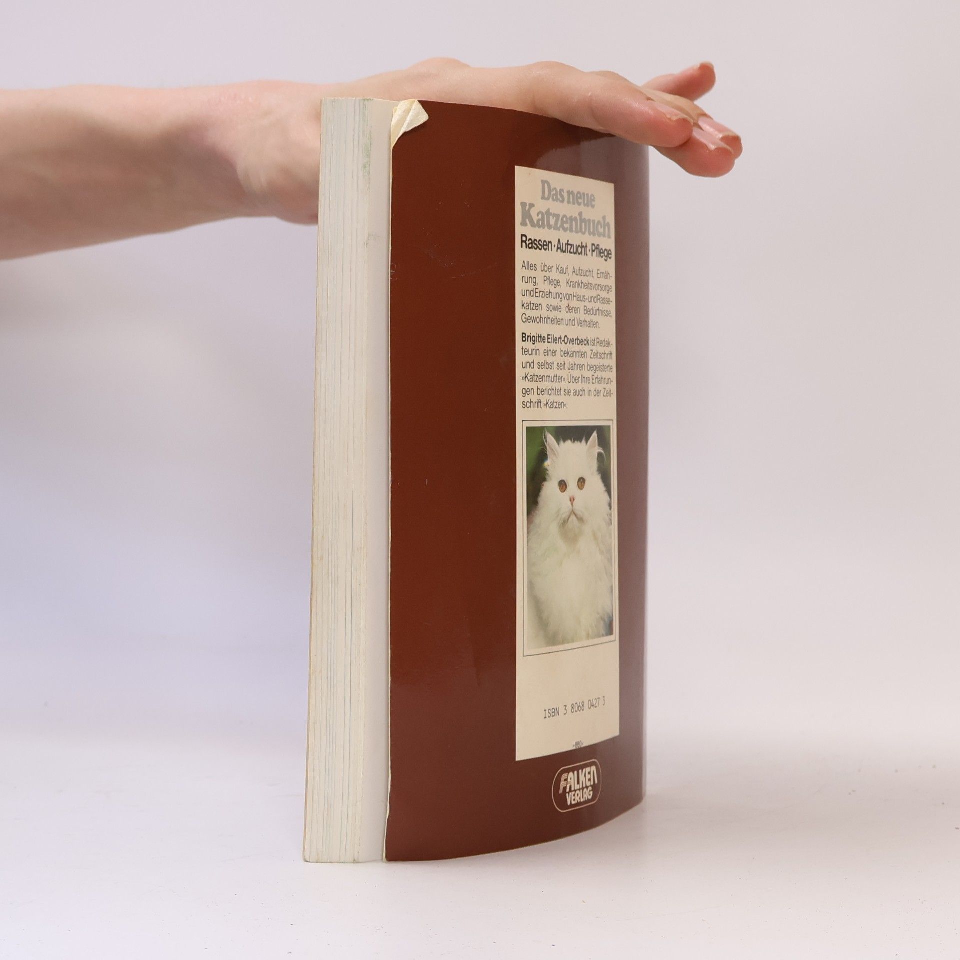 Brigitte Eilert-Overbeck Das neue Katzenbuch