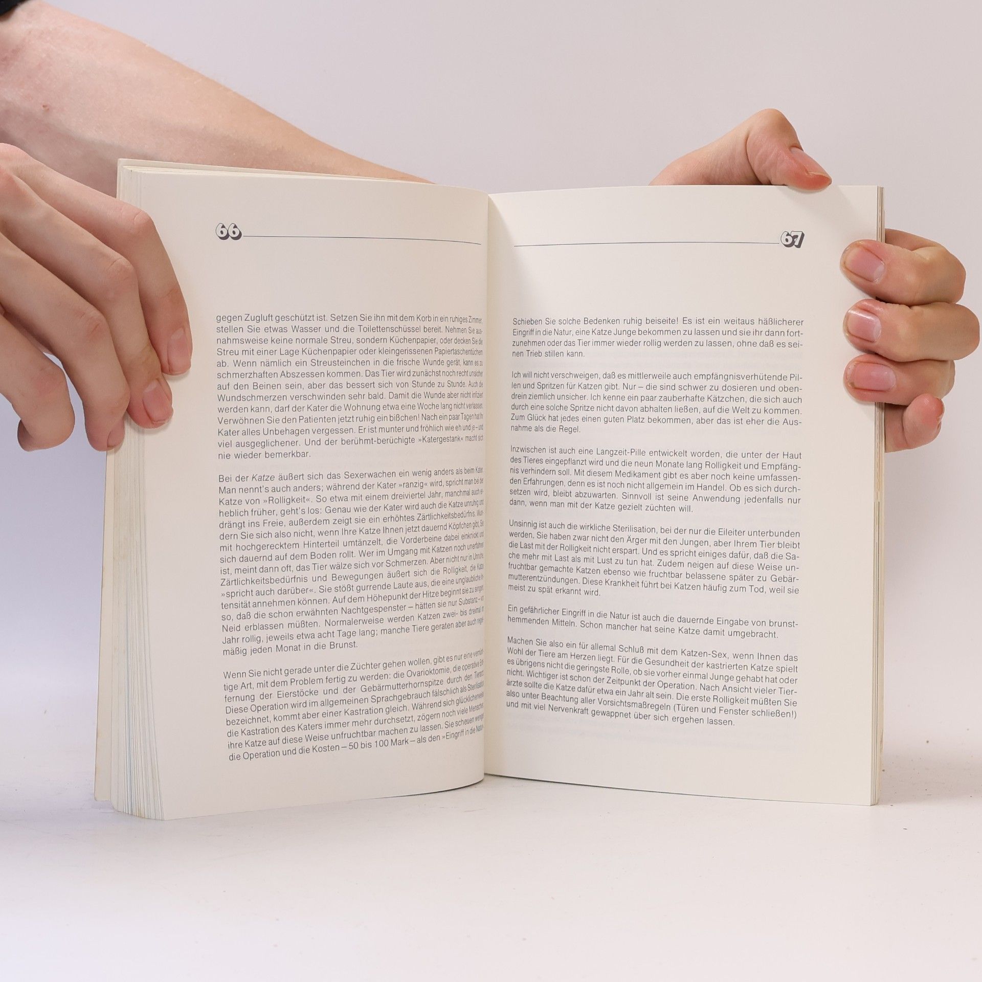 Brigitte Eilert-Overbeck Das neue Katzenbuch