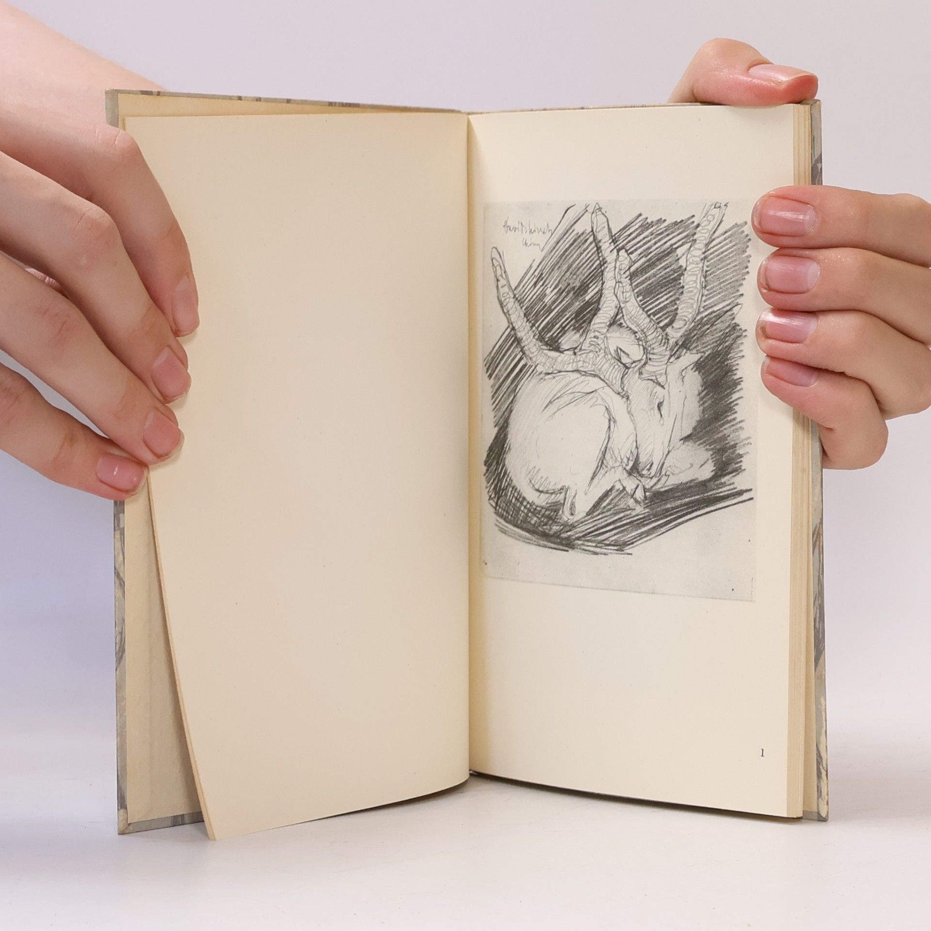 Franz Marc Tierstudien Nr. 567