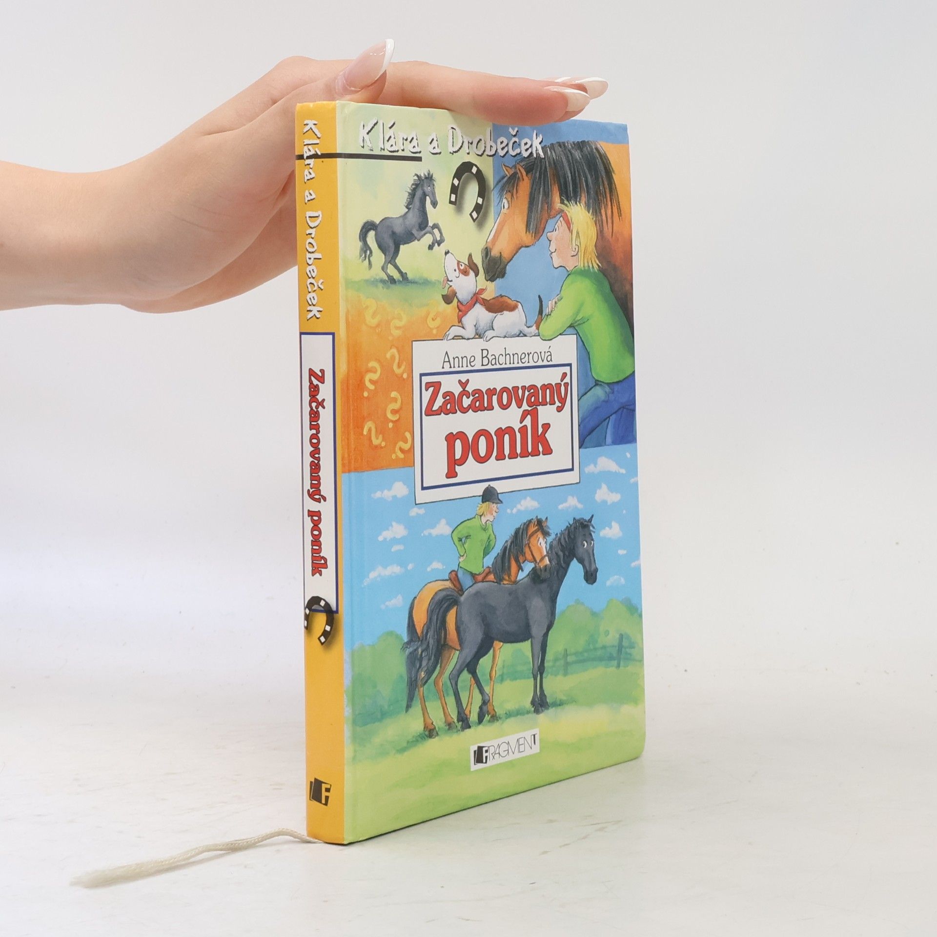 Heike Wiechmann Začarovaný poník
