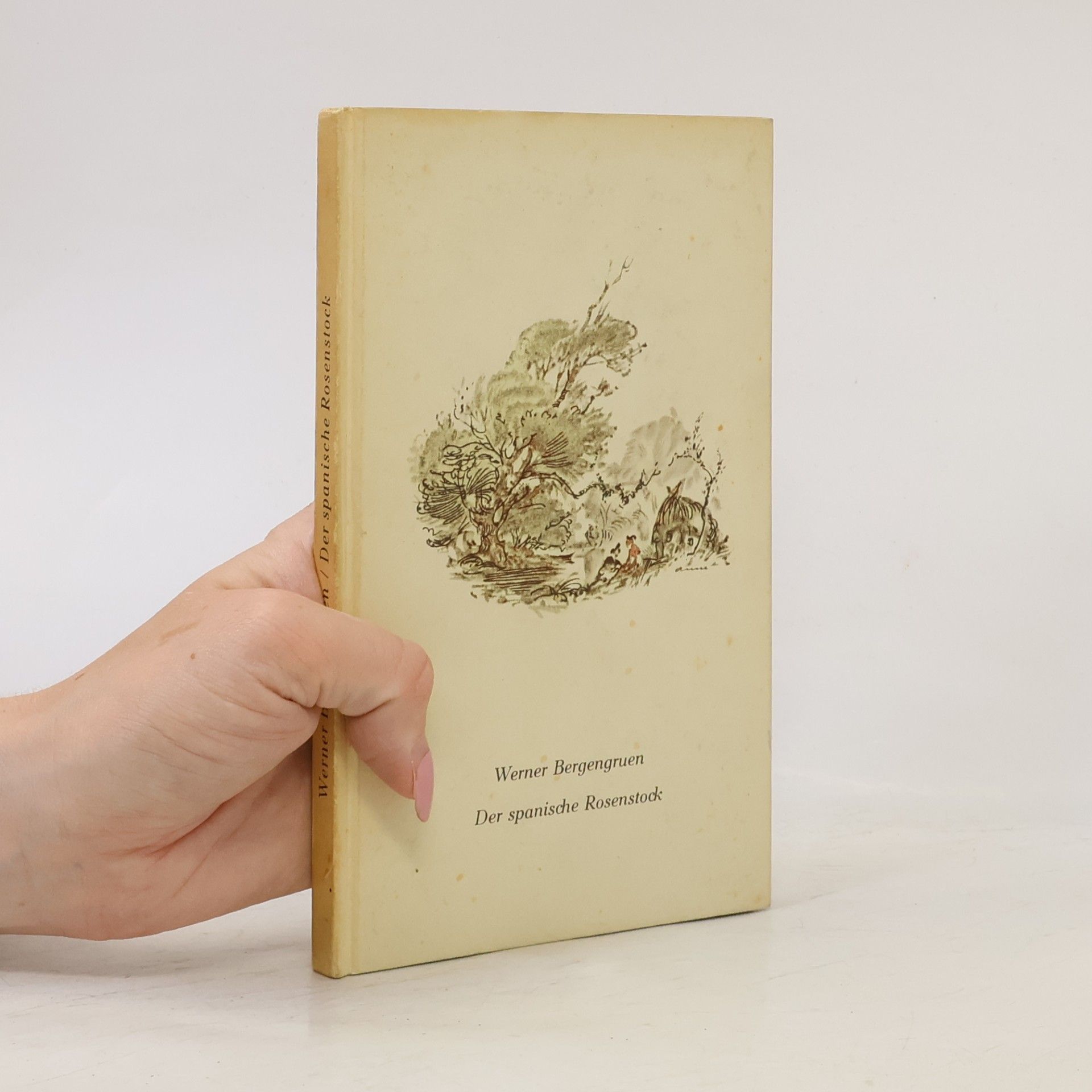 Werner Bergengruen Der spanische Rosenstock