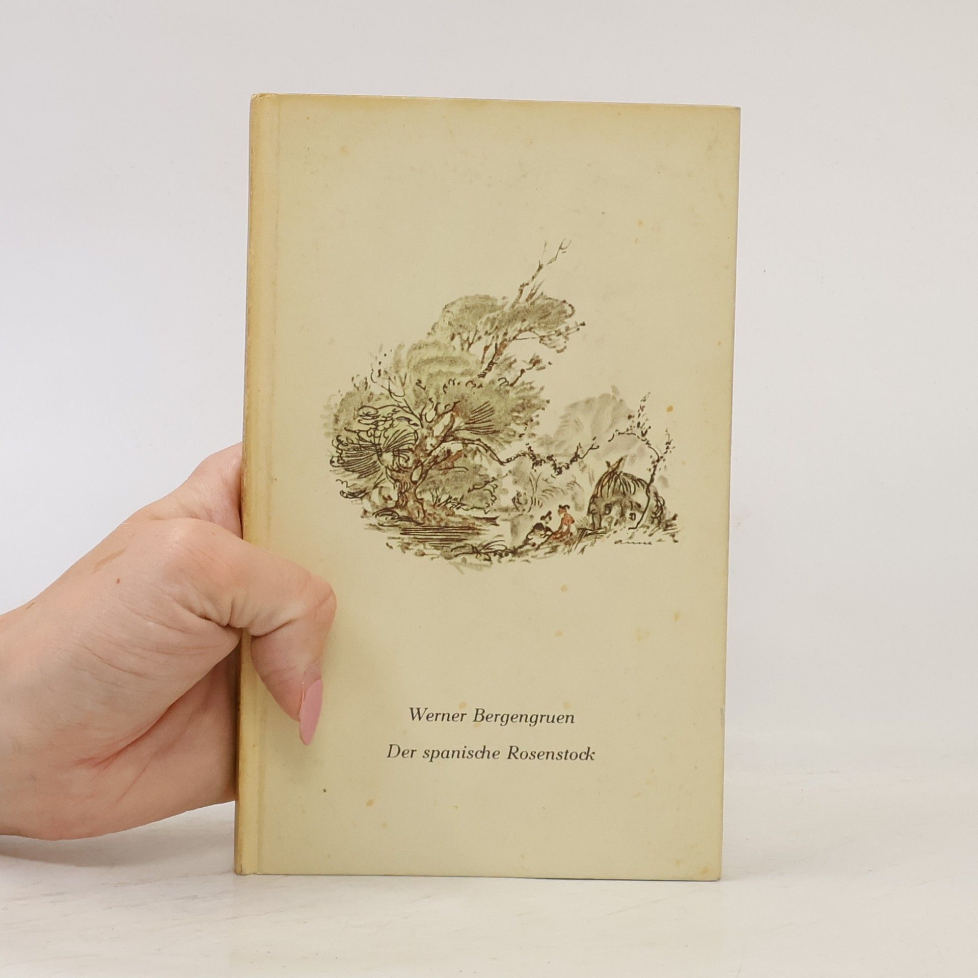 Werner Bergengruen Der spanische Rosenstock