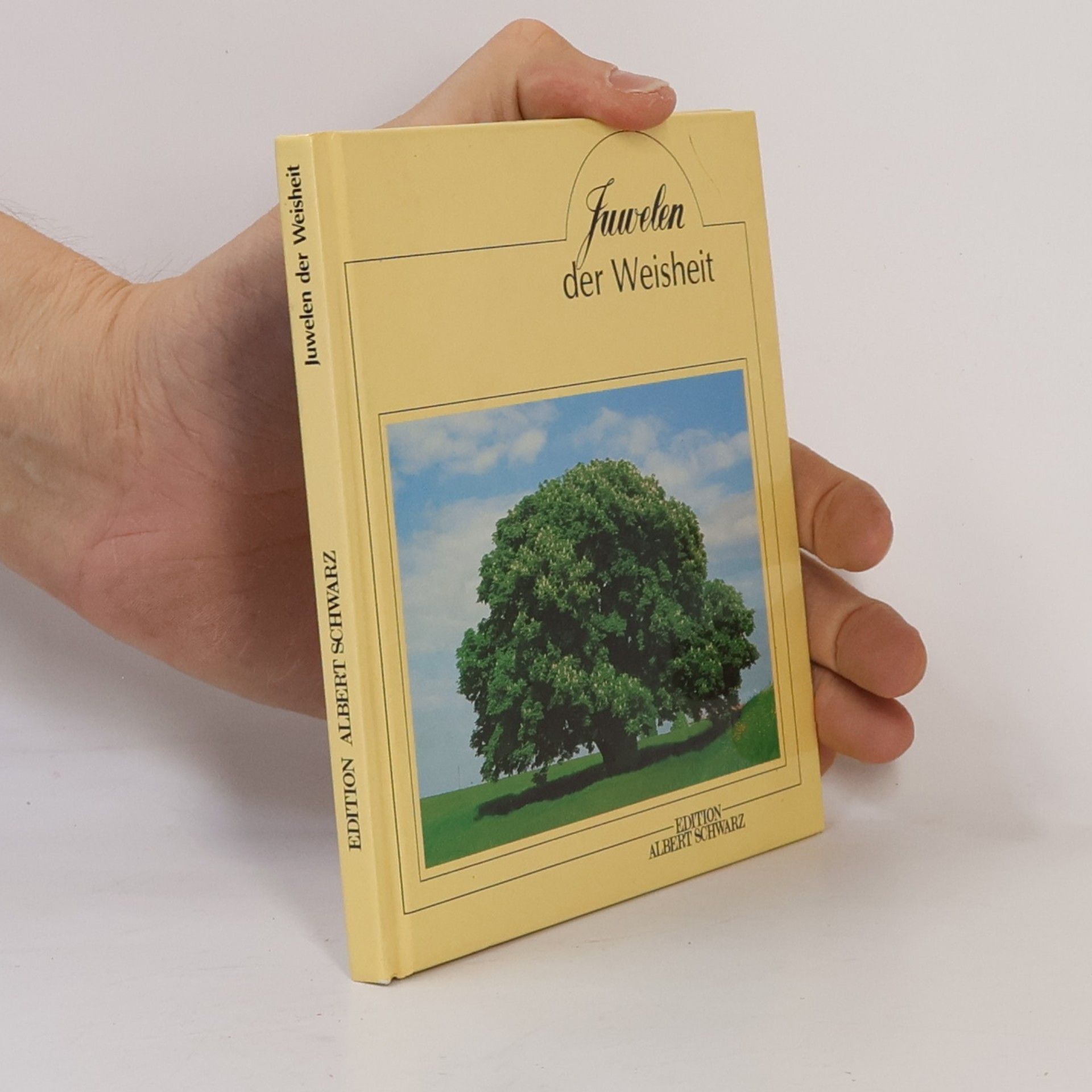 Autorenkollektiv Juwelen der Weisheit