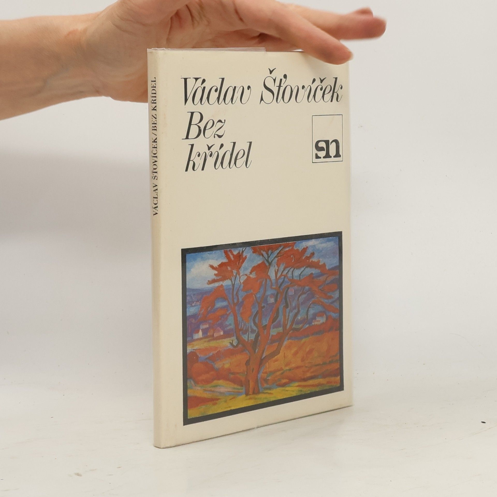 Václav Šťovíček Bez křídel