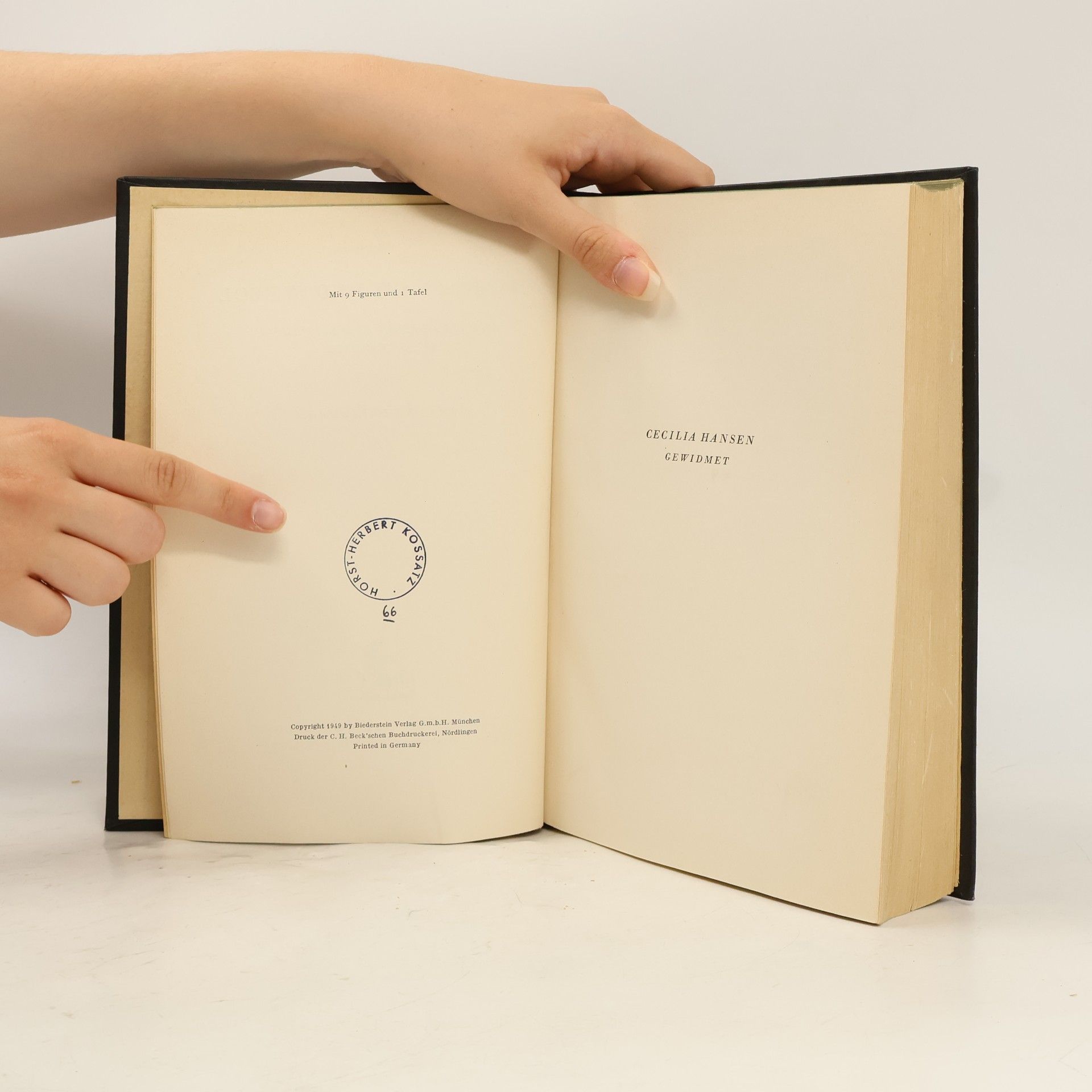 Hermann Friedmann Wissenschaft und Symbol