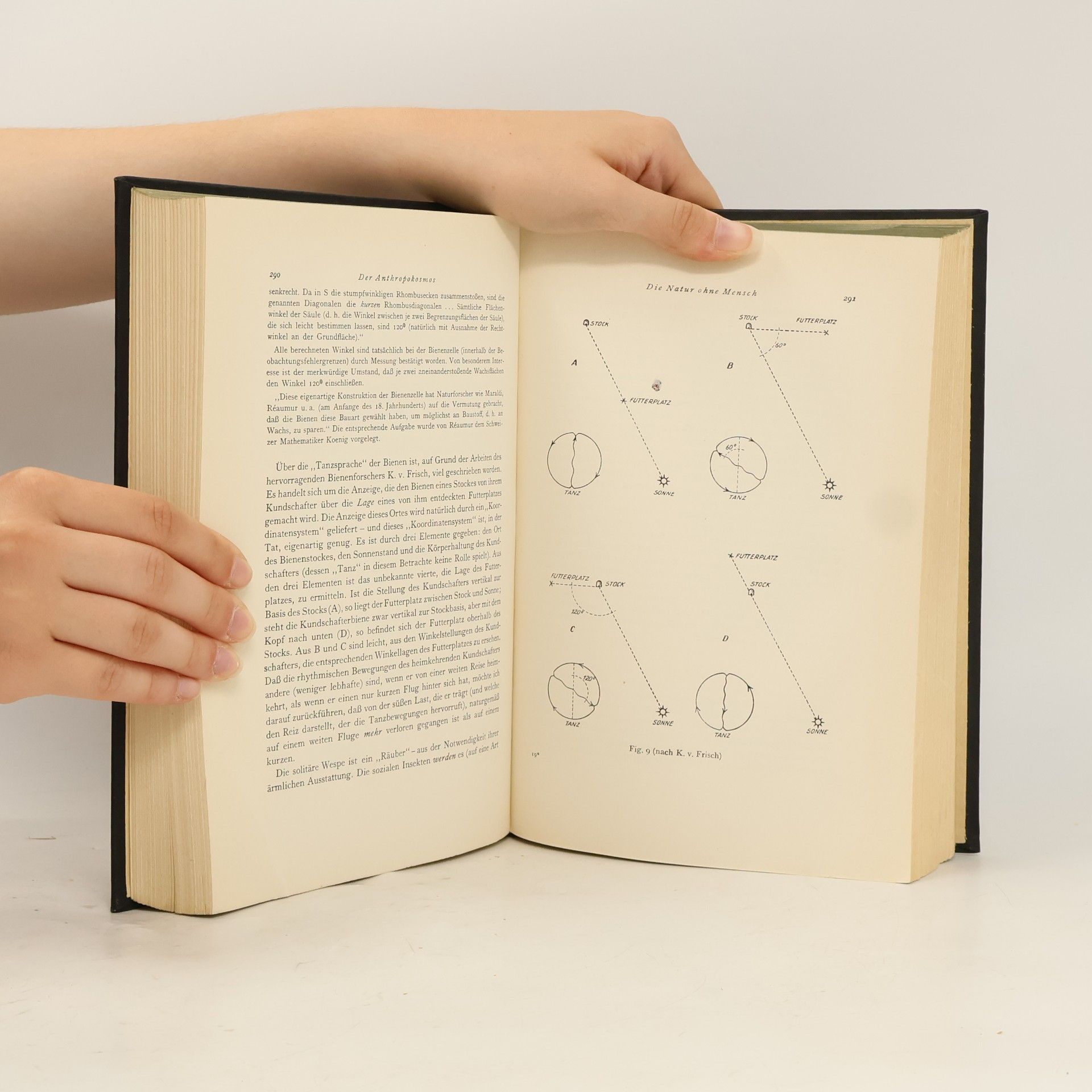 Hermann Friedmann Wissenschaft und Symbol