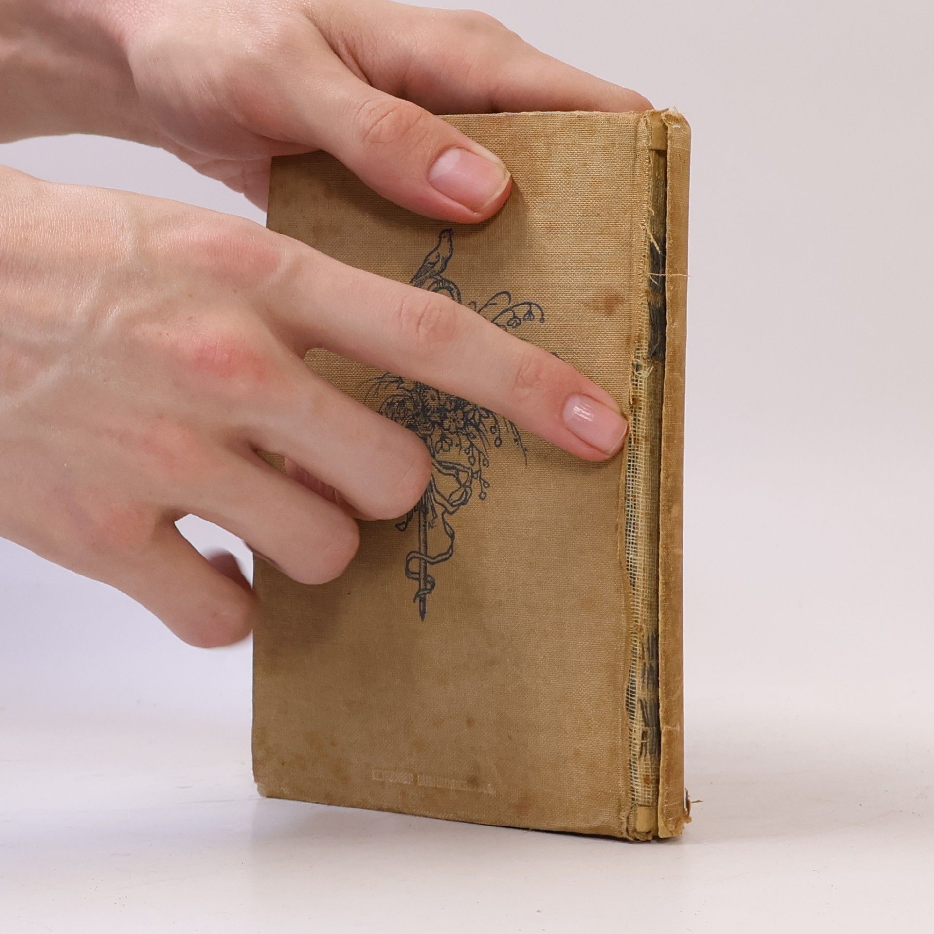 kolektiv Liederbuch